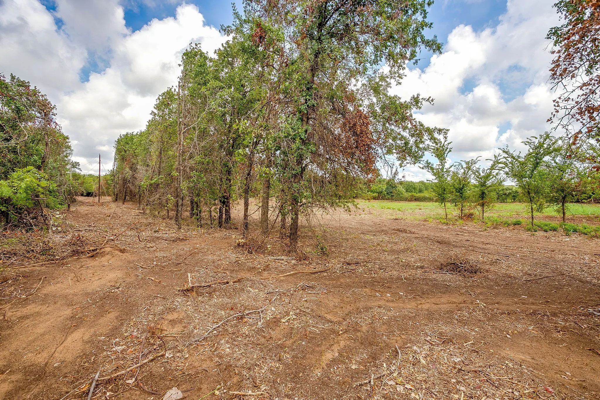 Unimproved Land For Sale in Parker County , TBD-2 Clover Drive, Poolville, Texas 76487, 0, 0, Garage spaces, 0 Sqft, built in 0, mls#21331461, Real Estate Agent in Poolville, Homes For Sale in Parker county, Homes For Sale in Poolville, Realtor in Poolville Texas, Real Estate Brokerage Independent Realty Texas, Luminita Cordes Realtor