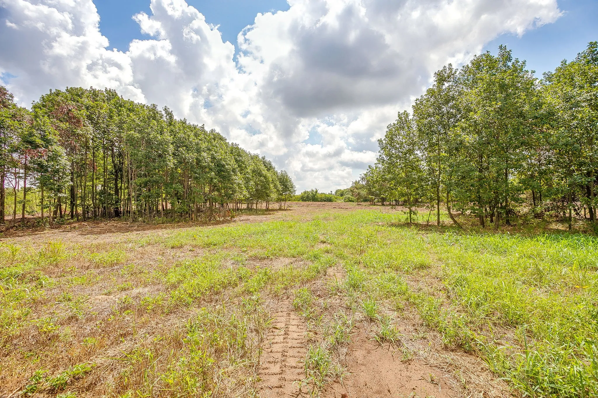Unimproved Land For Sale in Parker County , TBD-2 Clover Drive, Poolville, Texas 76487, 0, 0, Garage spaces, 0 Sqft, built in 0, mls#21331461, Real Estate Agent in Poolville, Homes For Sale in Parker county, Homes For Sale in Poolville, Realtor in Poolville Texas, Real Estate Brokerage Independent Realty Texas, Luminita Cordes Realtor