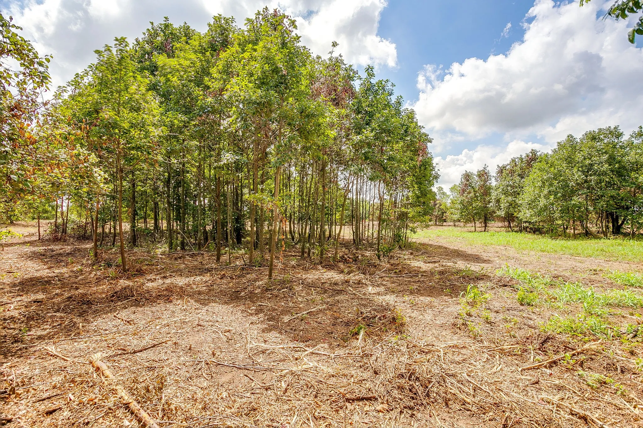 Unimproved Land For Sale in Parker County , TBD-2 Clover Drive, Poolville, Texas 76487, 0, 0, Garage spaces, 0 Sqft, built in 0, mls#21331461, Real Estate Agent in Poolville, Homes For Sale in Parker county, Homes For Sale in Poolville, Realtor in Poolville Texas, Real Estate Brokerage Independent Realty Texas, Luminita Cordes Realtor