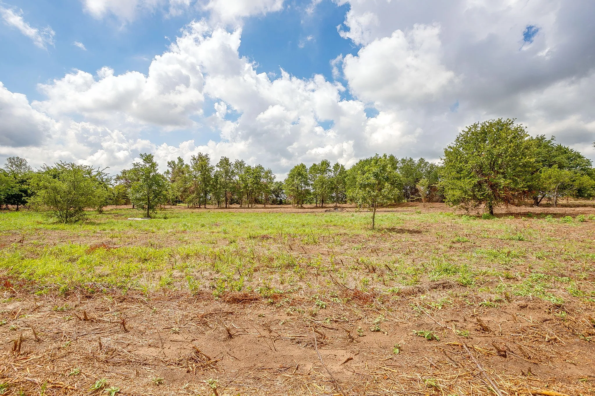 Unimproved Land For Sale in Parker County , TBD-2 Clover Drive, Poolville, Texas 76487, 0, 0, Garage spaces, 0 Sqft, built in 0, mls#21331461, Real Estate Agent in Poolville, Homes For Sale in Parker county, Homes For Sale in Poolville, Realtor in Poolville Texas, Real Estate Brokerage Independent Realty Texas, Luminita Cordes Realtor