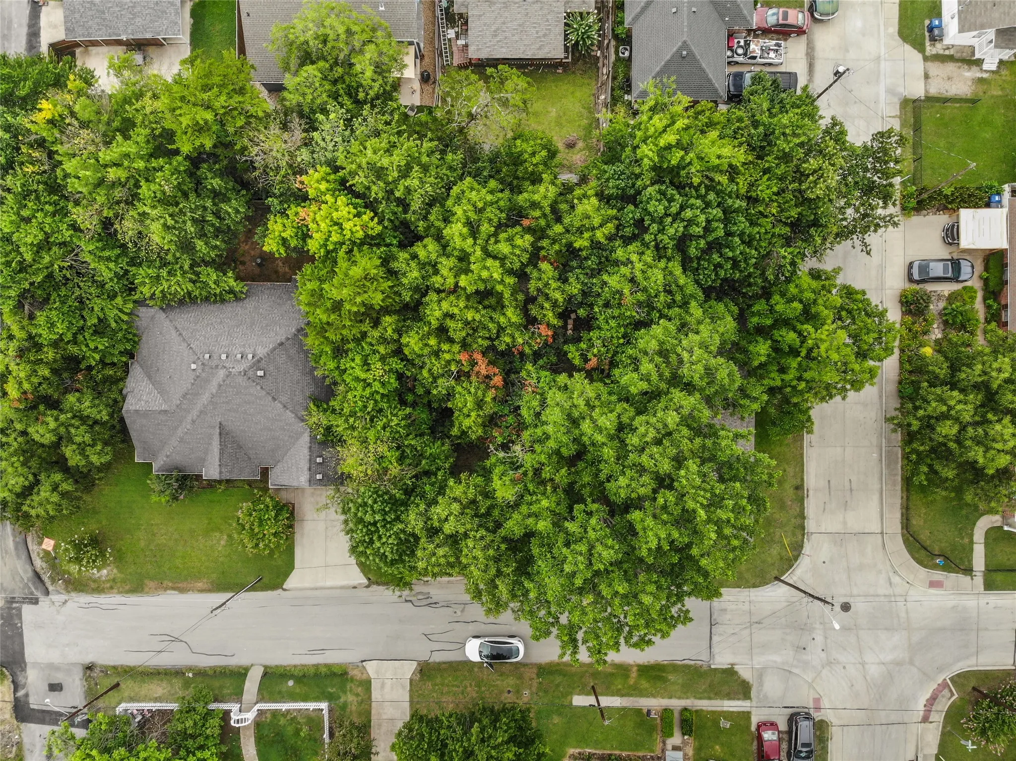 Single Family Residence For Sale in Collin County , 1107 Hall Street, Mc Kinney, Texas 75069, 3 Bedroom, 1 Bathroom, 2 Garage spaces, 1,391 Sqft, built in 1965, mls#21331451, Real Estate Agent in Mc Kinney, Homes For Sale in Collin county, Homes For Sale in Mc Kinney, Realtor in Mc Kinney Texas, Real Estate Brokerage Independent Realty Texas, Luminita Cordes Realtor