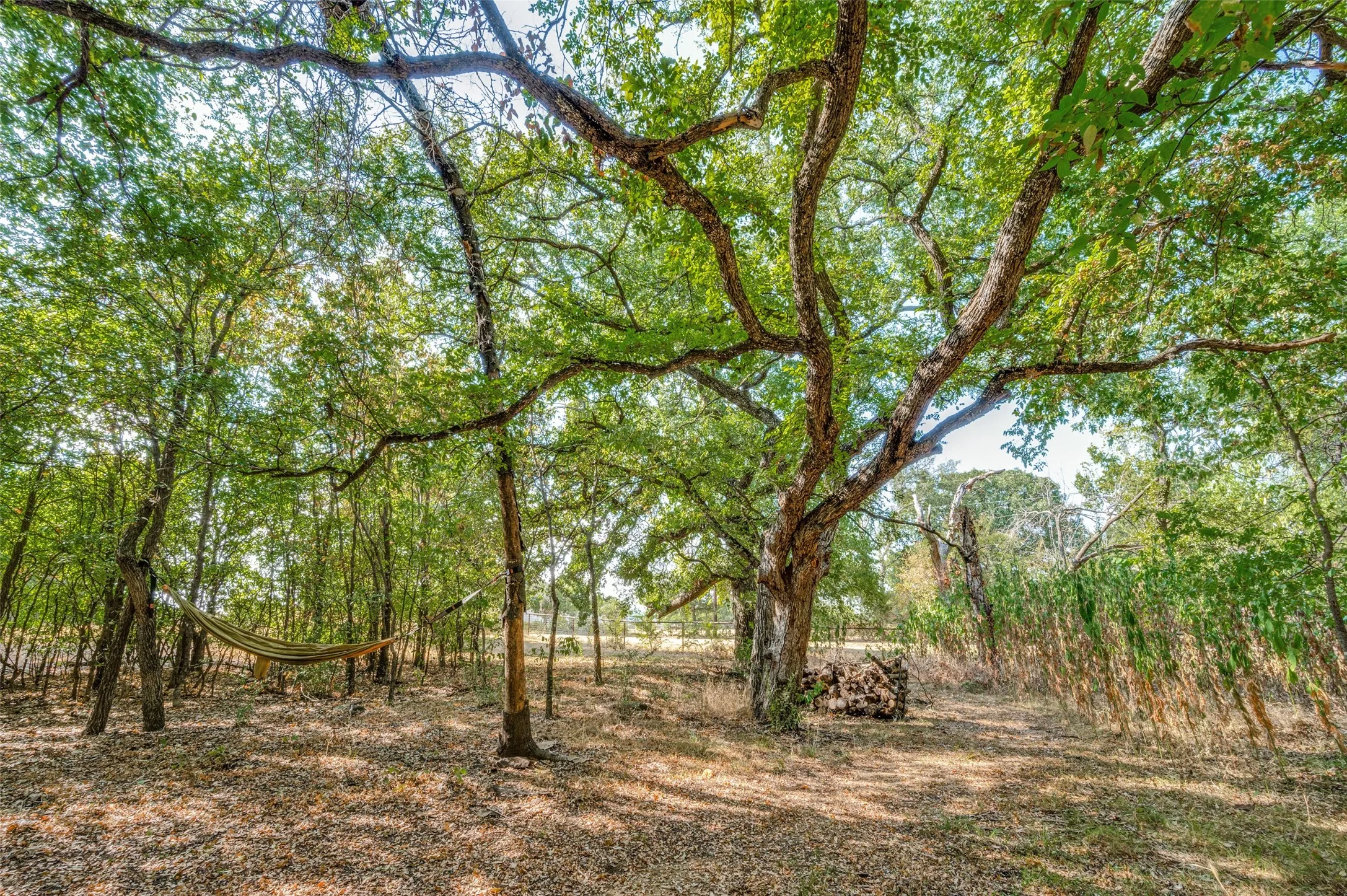 Unimproved Land For Sale in Denton County , 3863 New Hope Road, Aubrey, Texas 76227, 0, 0, Garage spaces, 0 Sqft, built in 0, mls#21327529, Real Estate Agent in Aubrey, Homes For Sale in Denton county, Homes For Sale in Aubrey, Realtor in Aubrey Texas, Real Estate Brokerage Independent Realty Texas, Luminita Cordes Realtor