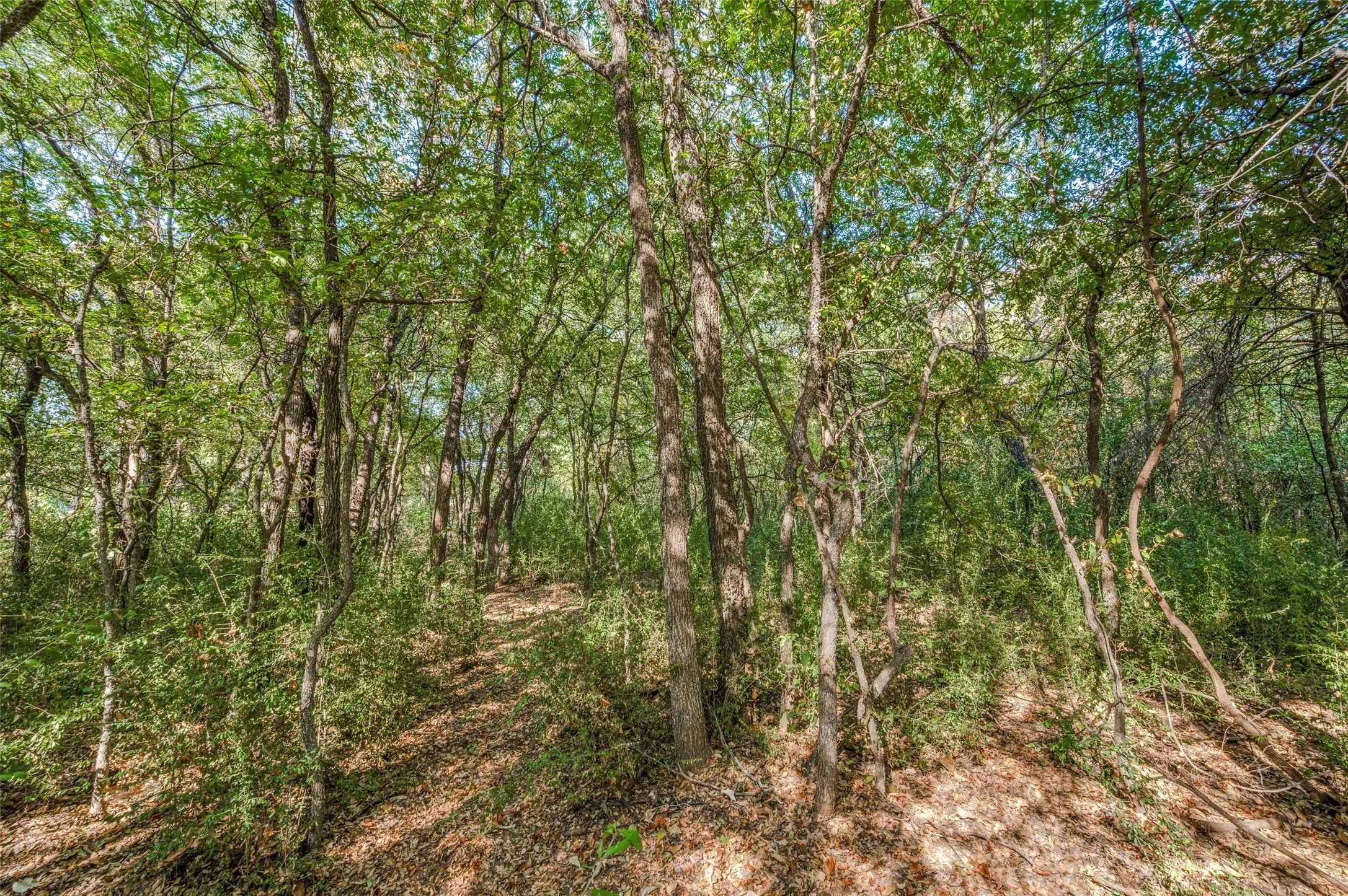 Unimproved Land For Sale in Denton County , 3863 New Hope Road, Aubrey, Texas 76227, 0, 0, Garage spaces, 0 Sqft, built in 0, mls#21327529, Real Estate Agent in Aubrey, Homes For Sale in Denton county, Homes For Sale in Aubrey, Realtor in Aubrey Texas, Real Estate Brokerage Independent Realty Texas, Luminita Cordes Realtor