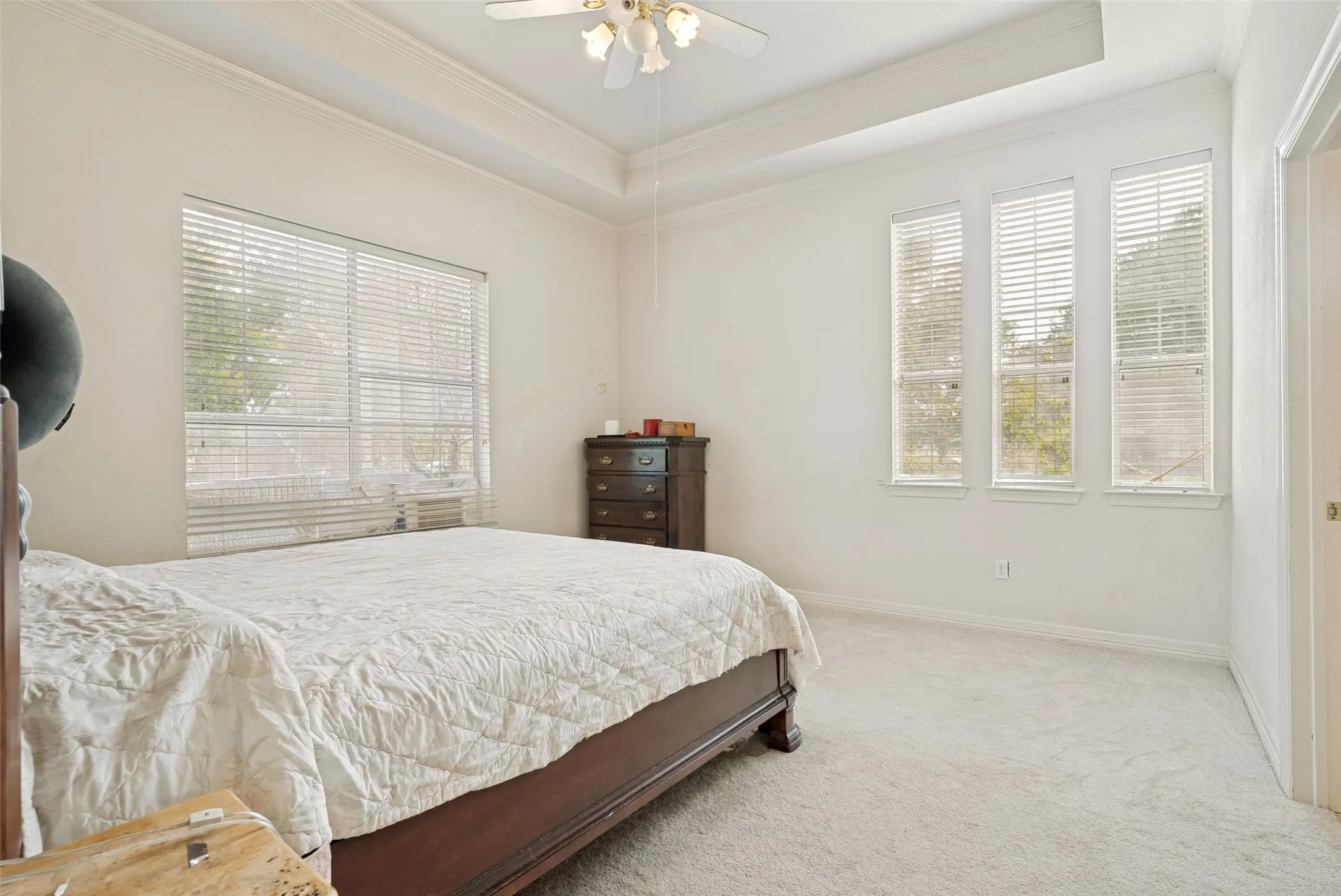 Spacious room featuring tray ceiling,  crown molding, light neutral carpet, and multiple windows, walk-in closet and onsuite bathroom