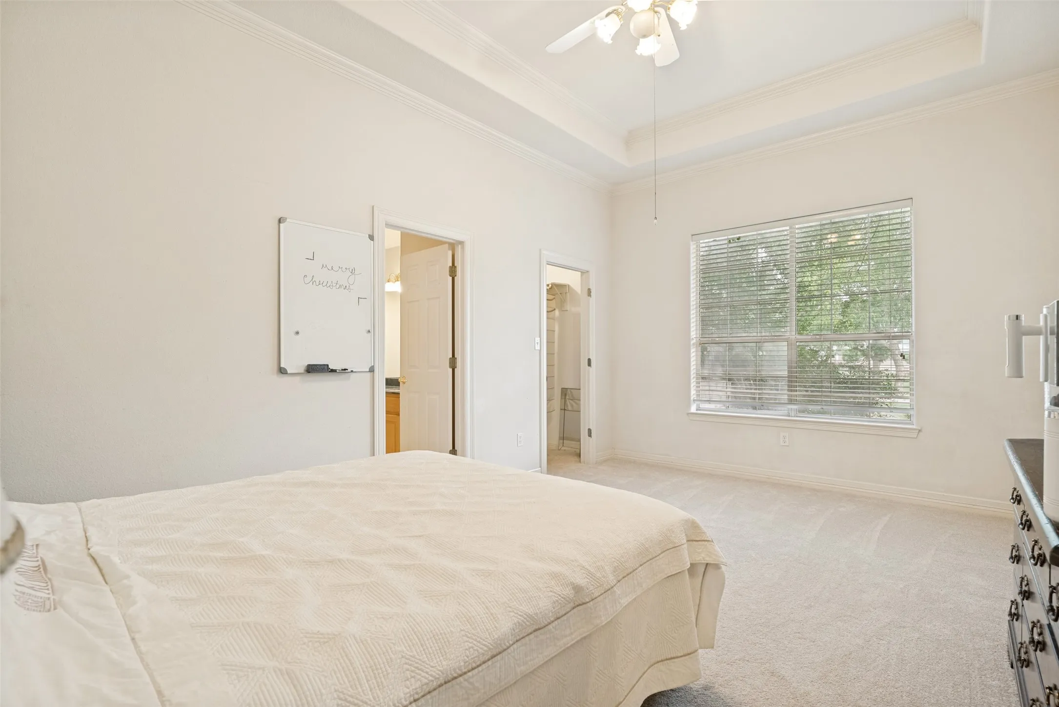 Spacious room featuring tray ceiling,  crown molding, light neutral carpet, and multiple windows, walk-in closet and onsuite bathroom