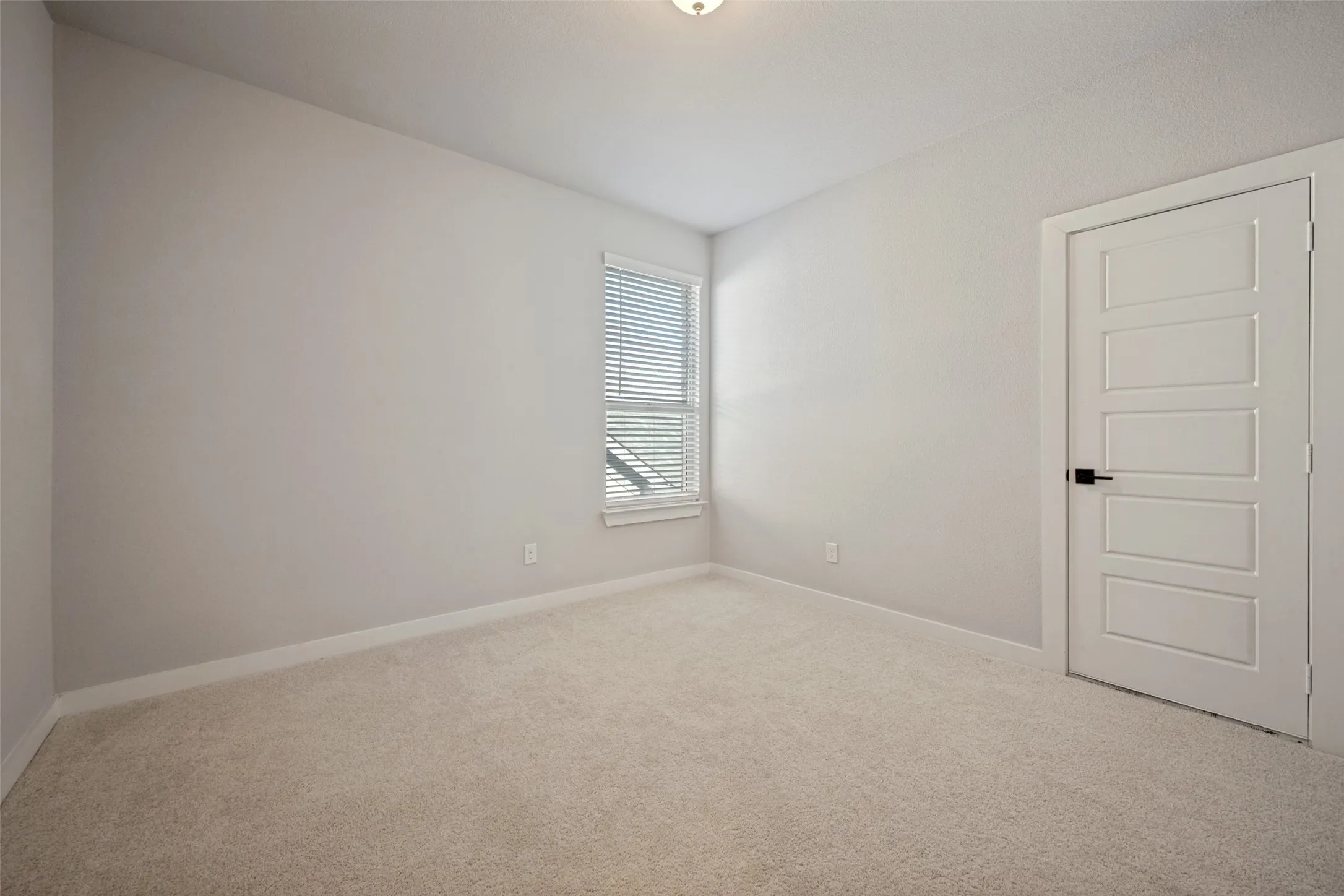 Neutral-toned carpeting throughout the room