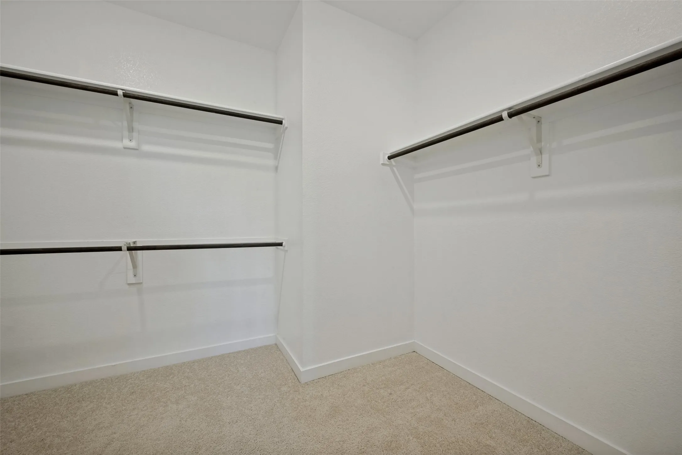 Walk-in closet featuring light-toned carpeting, white walls, and built-in closet rods