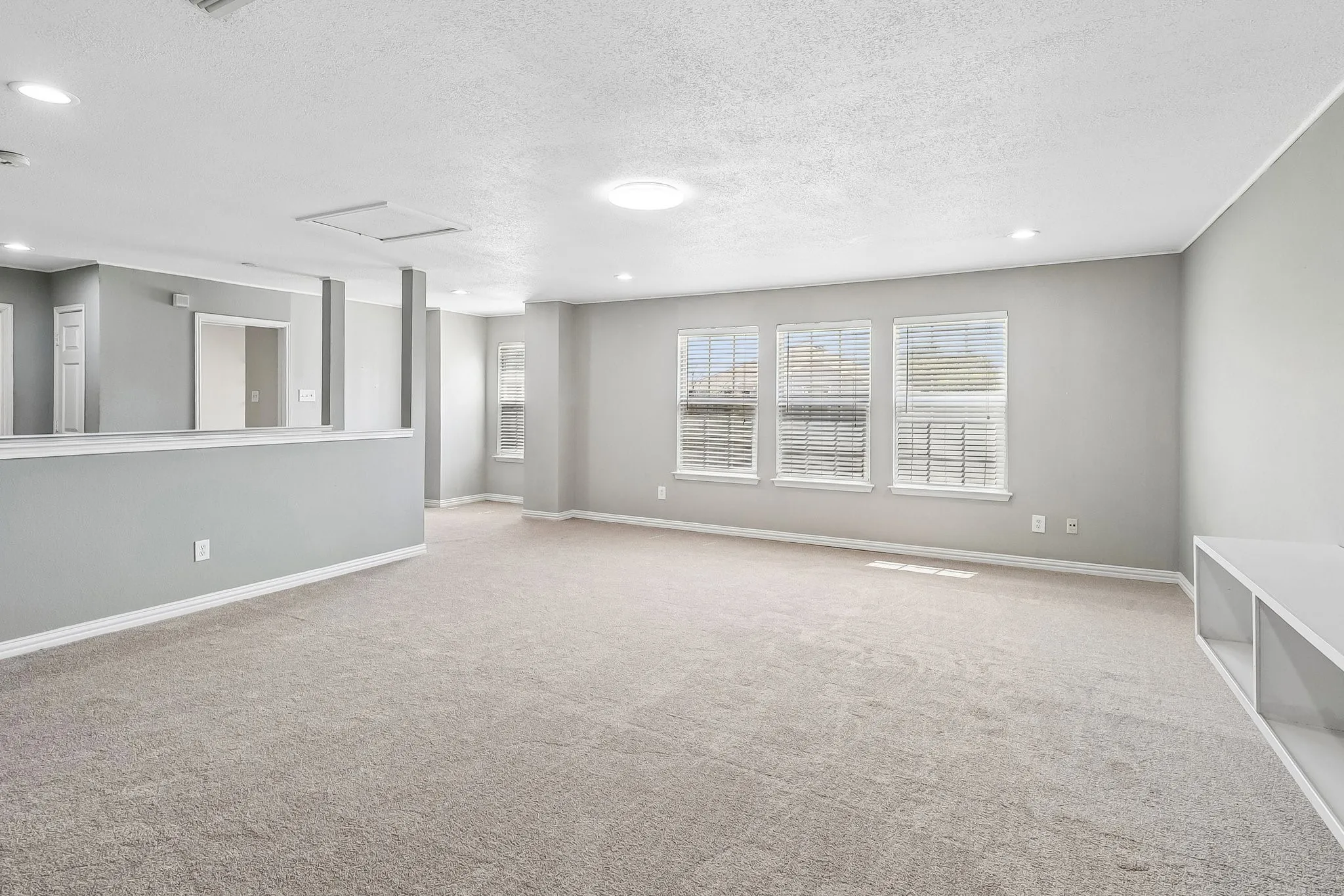 Game Room / Flex Space