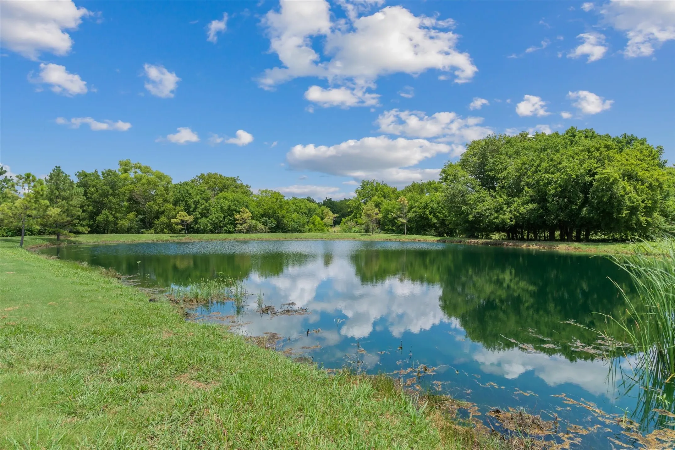 Single Family Residence For Sale in Kaufman County , 5811 County Road 4102, Kaufman, Texas 75142, 4 Bedroom, 4 Bathroom, 3 Garage spaces, 3,325 Sqft, built in 2011, mls#21330886, Real Estate Agent in Kaufman, Homes For Sale in Kaufman county, Homes For Sale in Kaufman, Realtor in Kaufman Texas, Real Estate Brokerage Independent Realty Texas, Luminita Cordes Realtor