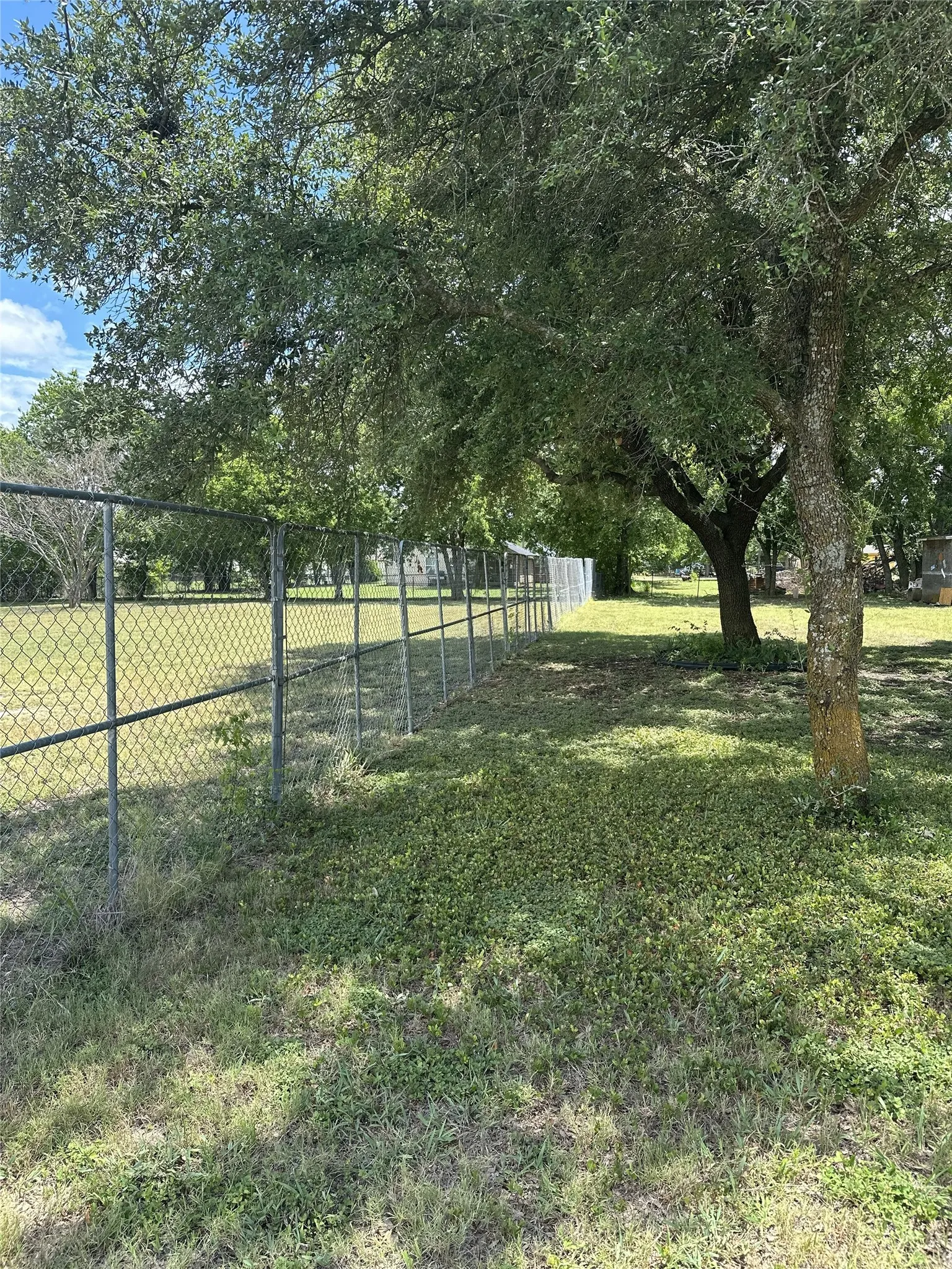 Chain-link perimeter fencing bordering a spacious grassy area with mature trees