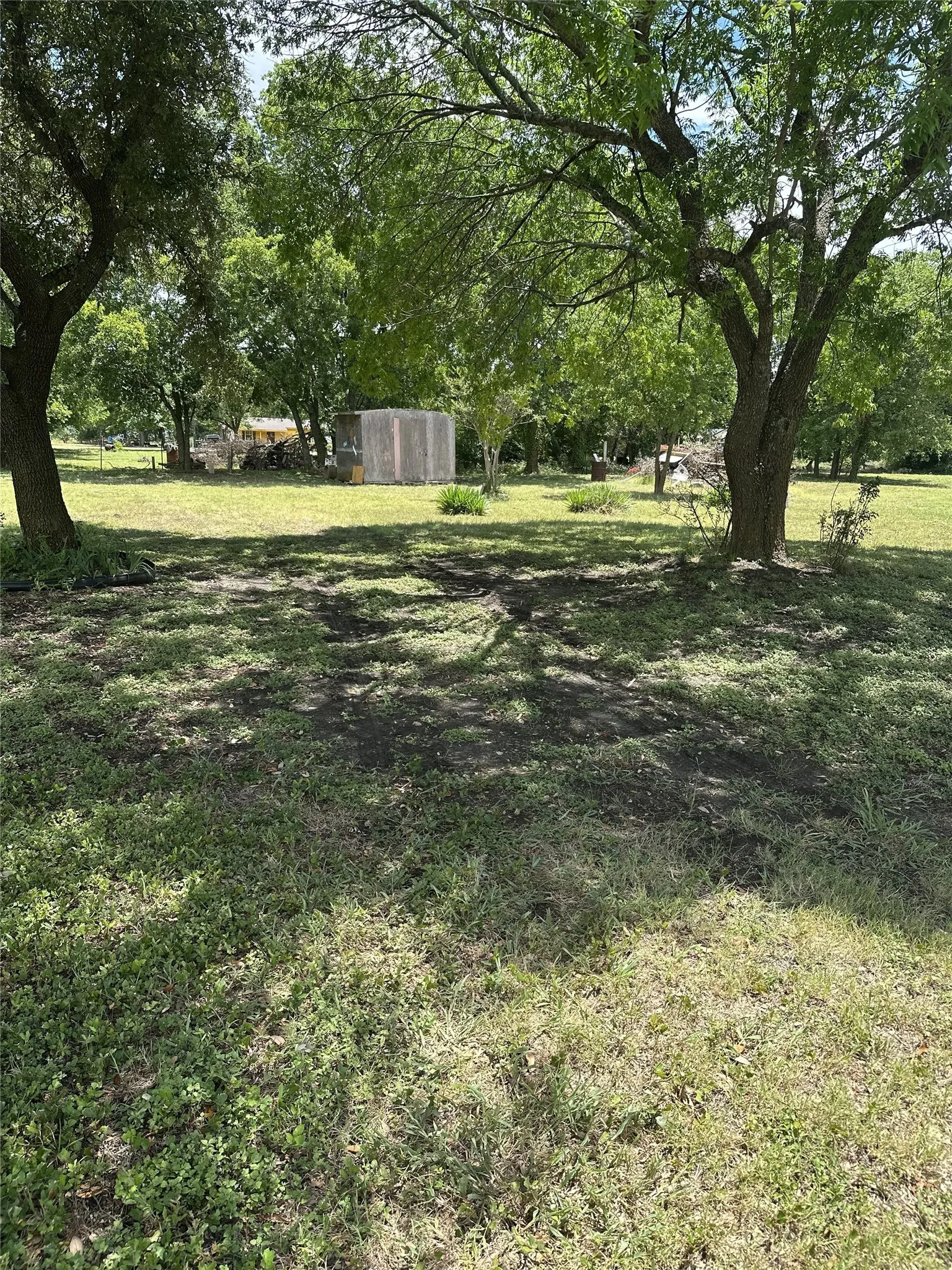 Expansive grassy area with mature shade trees and a distant shed