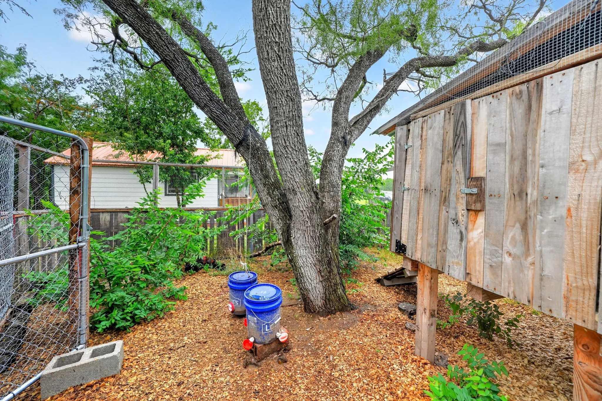 Chicken coop