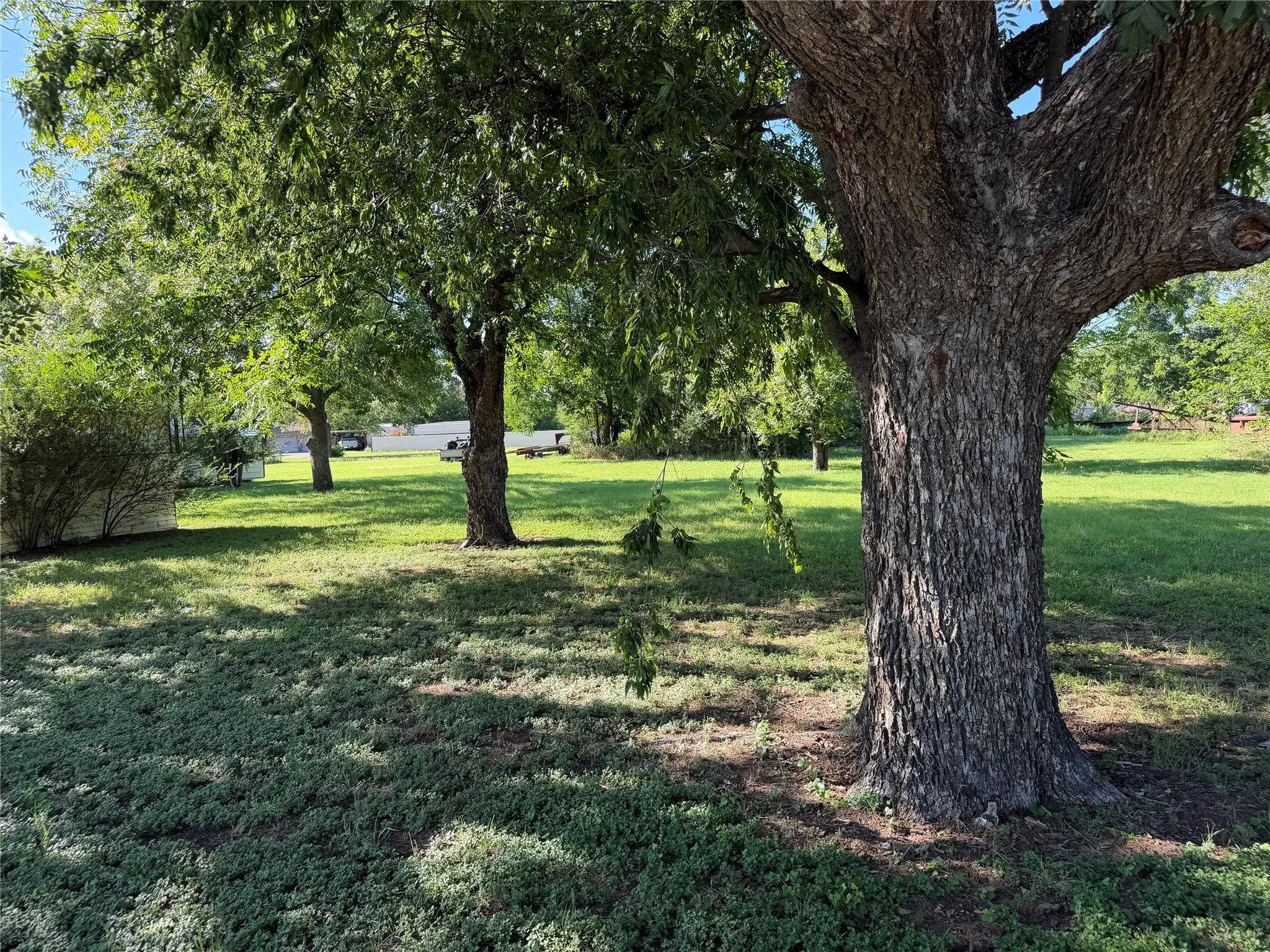 Unimproved Land For Sale in Eastland County , 507 Park Street, Rising Star, Texas 76471, 0, 0, Garage spaces, 0 Sqft, built in 1940, mls#21331701, Real Estate Agent in Rising Star, Homes For Sale in Eastland county, Homes For Sale in Rising Star, Realtor in Rising Star Texas, Real Estate Brokerage Independent Realty Texas, Luminita Cordes Realtor