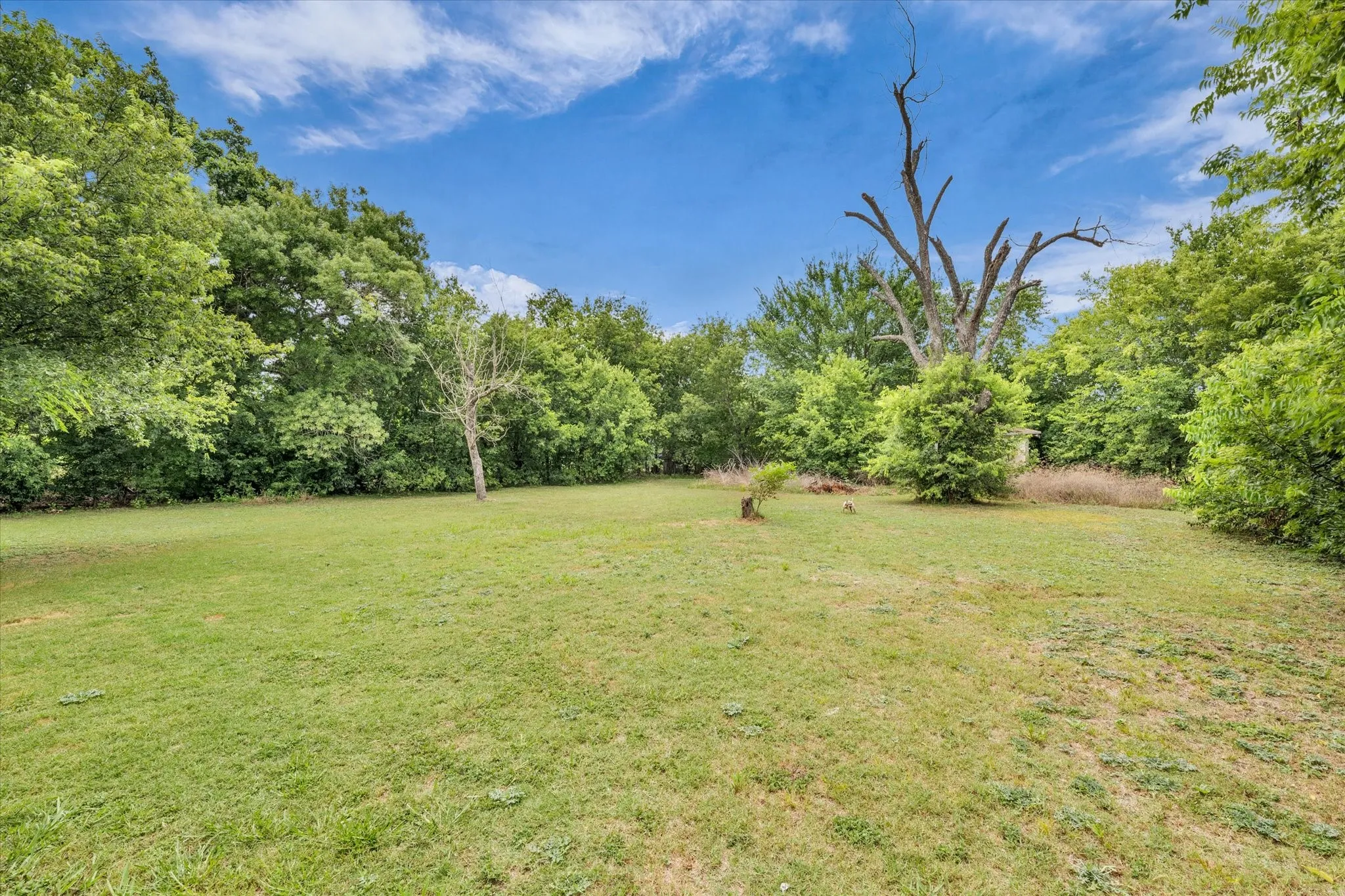 Expansive grassy area with mature perimeter trees, offering a private outdoor environment