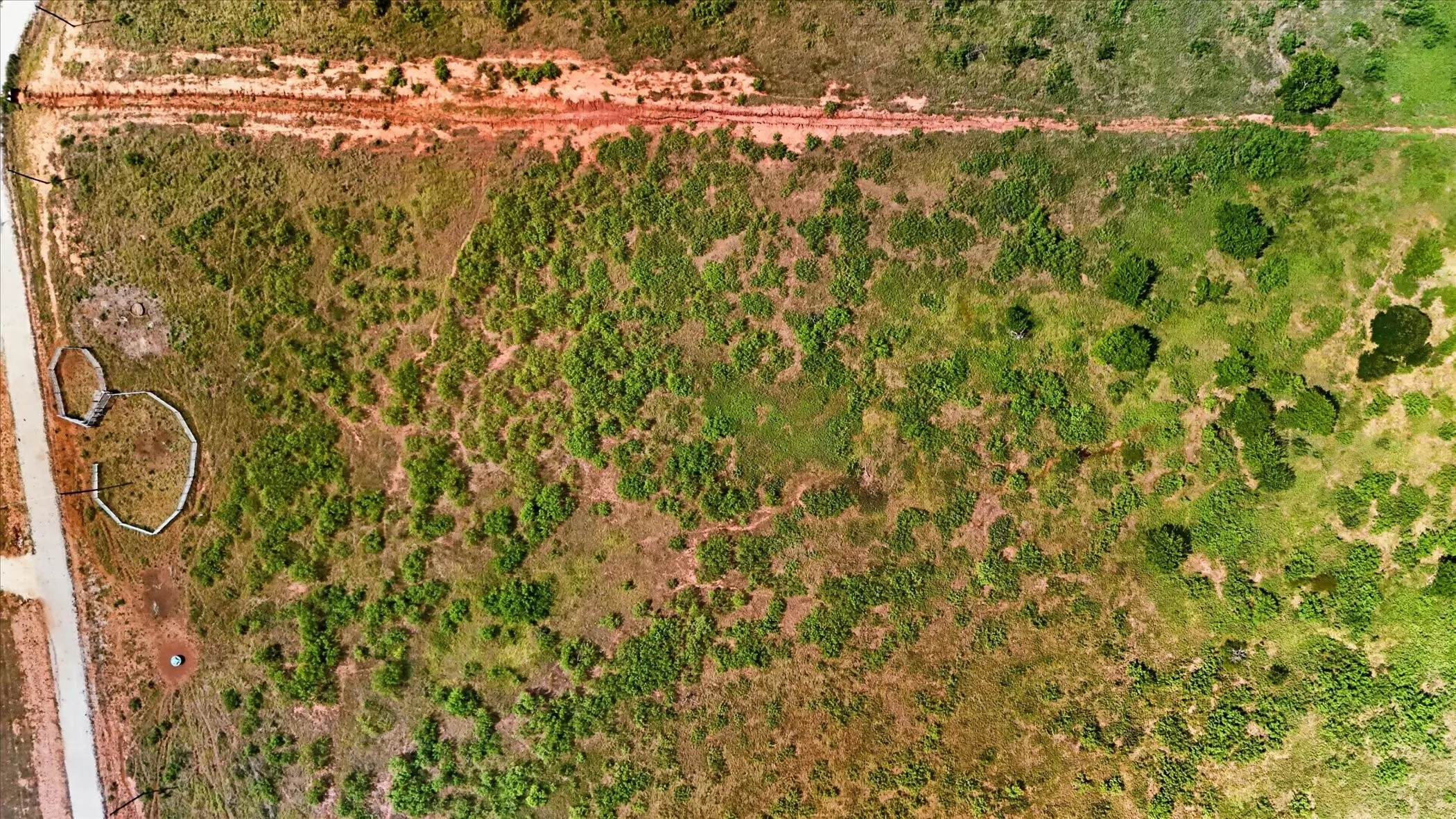 Expansive undeveloped land featuring natural vegetation and perimeter boundary lines