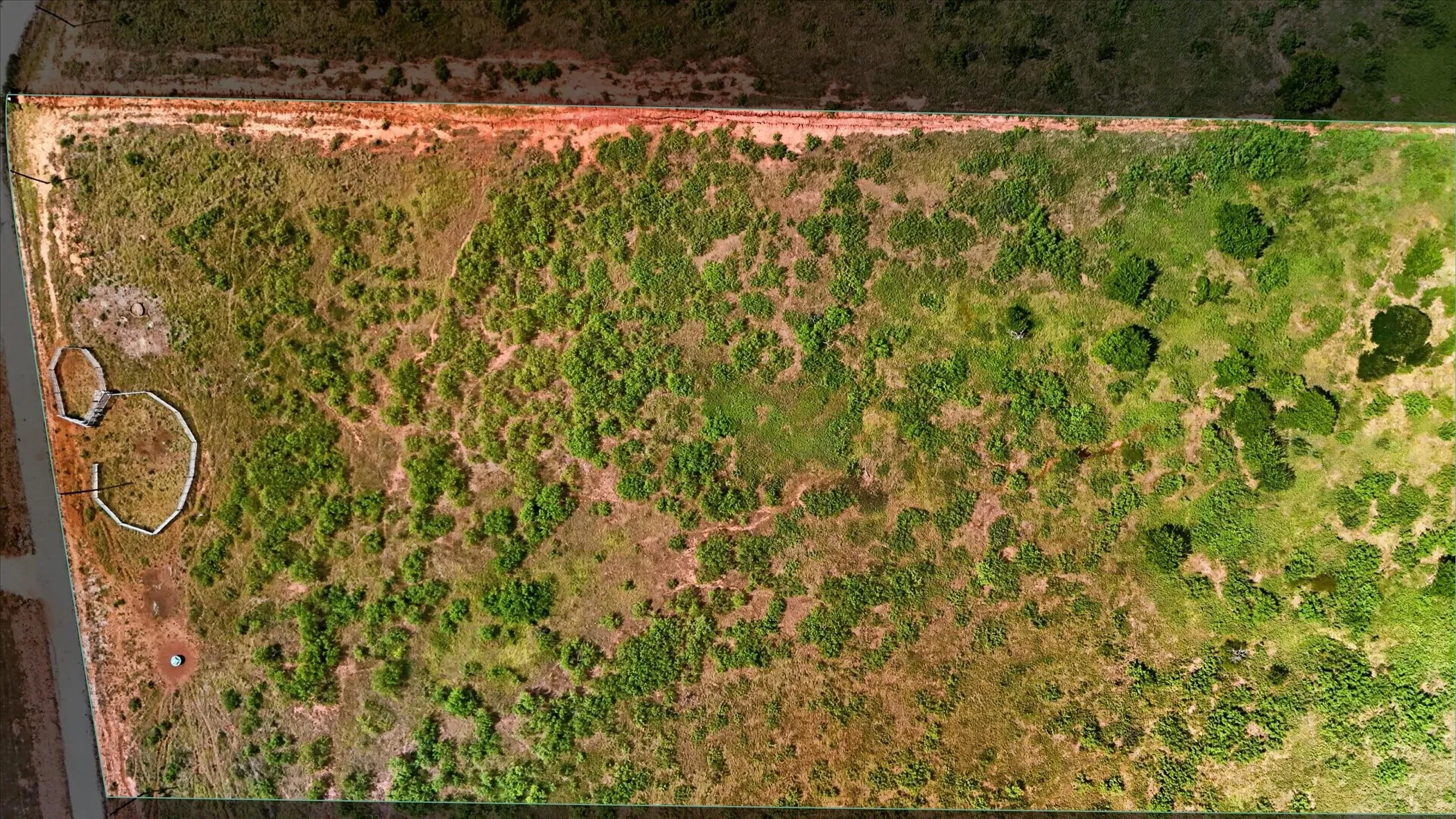 Expansive undeveloped lot featuring varied natural vegetation