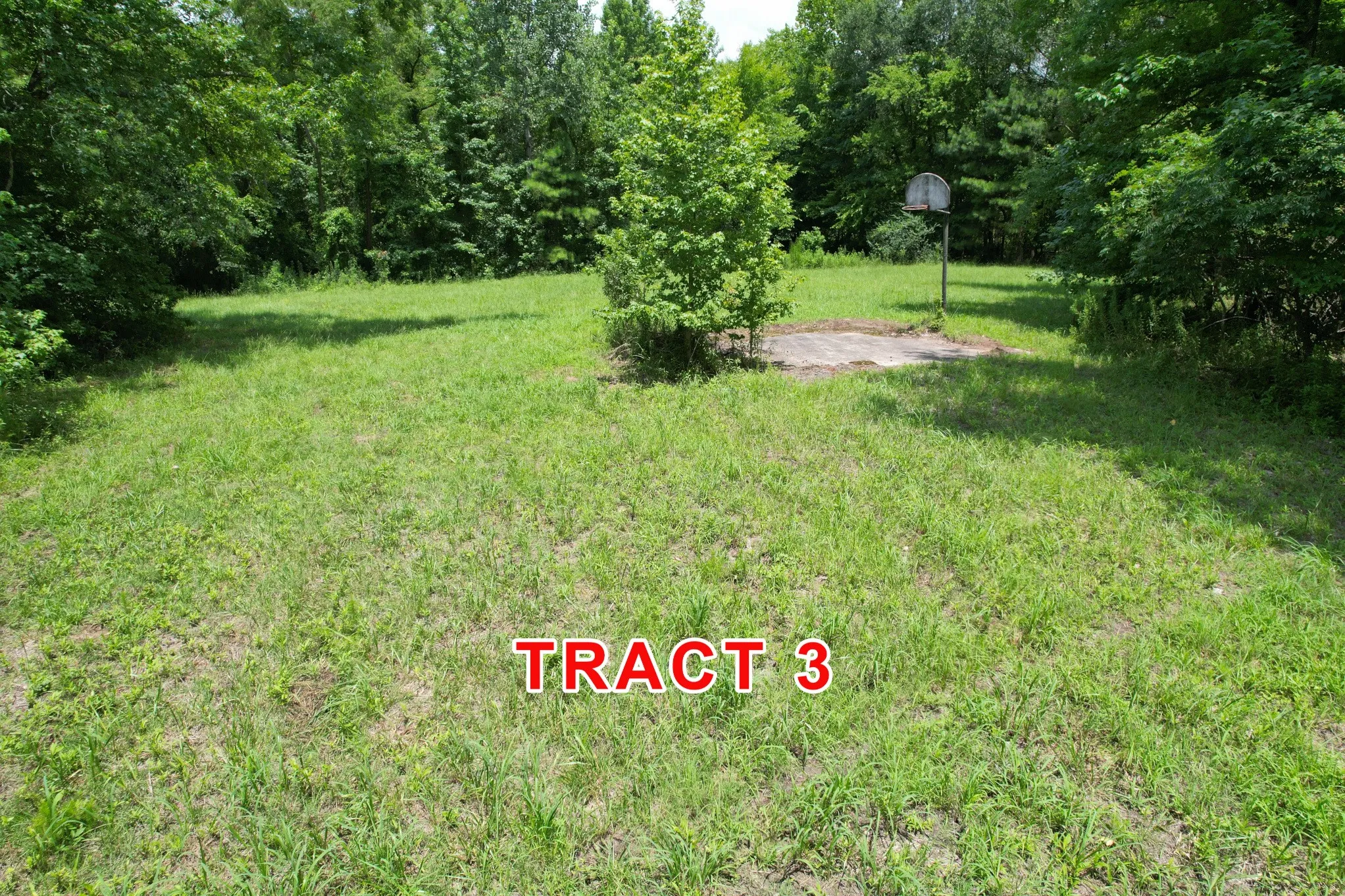 Unimproved Land For Sale in Red River (TX) County , Tract 3 County Road 3117, Clarksville, Texas 75426, 0, 0, Garage spaces, 0 Sqft, built in 0, mls#21331786, Real Estate Agent in Clarksville, Homes For Sale in Red River (TX) county, Homes For Sale in Clarksville, Realtor in Clarksville Texas, Real Estate Brokerage Independent Realty Texas, Luminita Cordes Realtor