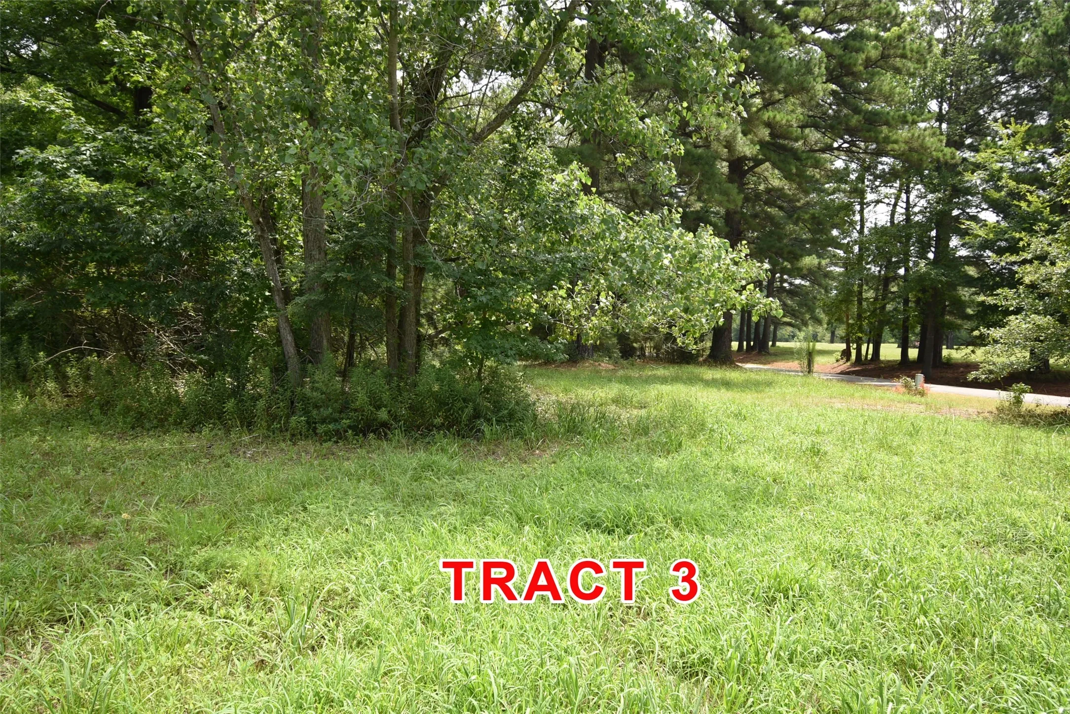 Unimproved Land For Sale in Red River (TX) County , Tract 3 County Road 3117, Clarksville, Texas 75426, 0, 0, Garage spaces, 0 Sqft, built in 0, mls#21331786, Real Estate Agent in Clarksville, Homes For Sale in Red River (TX) county, Homes For Sale in Clarksville, Realtor in Clarksville Texas, Real Estate Brokerage Independent Realty Texas, Luminita Cordes Realtor