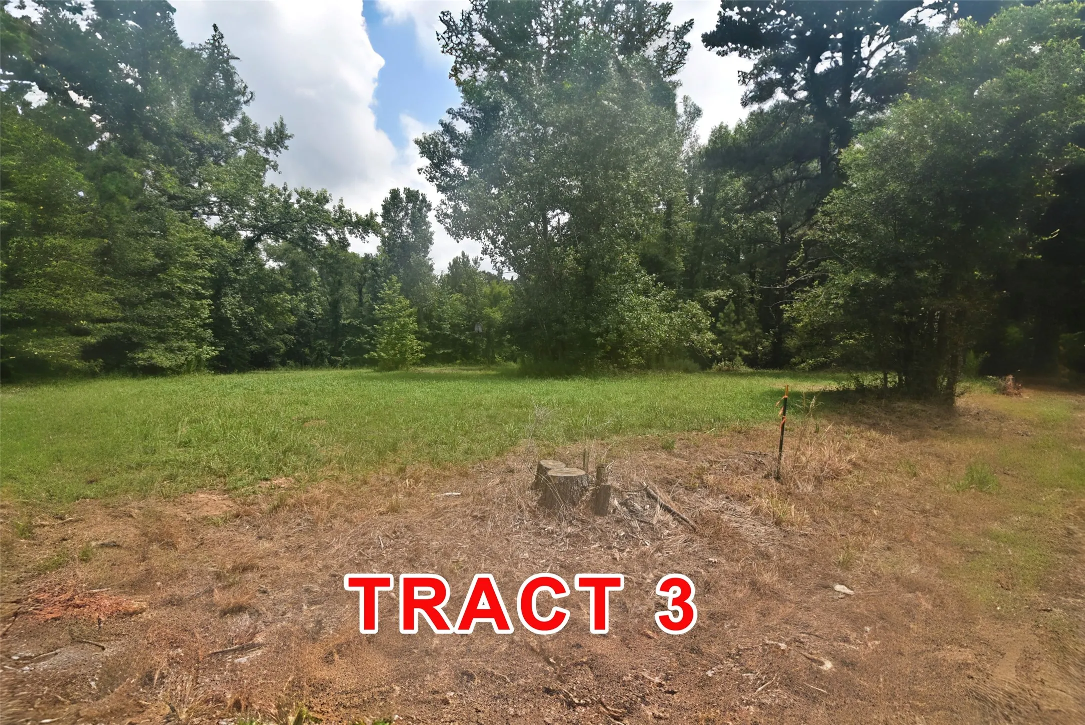 Unimproved Land For Sale in Red River (TX) County , Tract 3 County Road 3117, Clarksville, Texas 75426, 0, 0, Garage spaces, 0 Sqft, built in 0, mls#21331786, Real Estate Agent in Clarksville, Homes For Sale in Red River (TX) county, Homes For Sale in Clarksville, Realtor in Clarksville Texas, Real Estate Brokerage Independent Realty Texas, Luminita Cordes Realtor