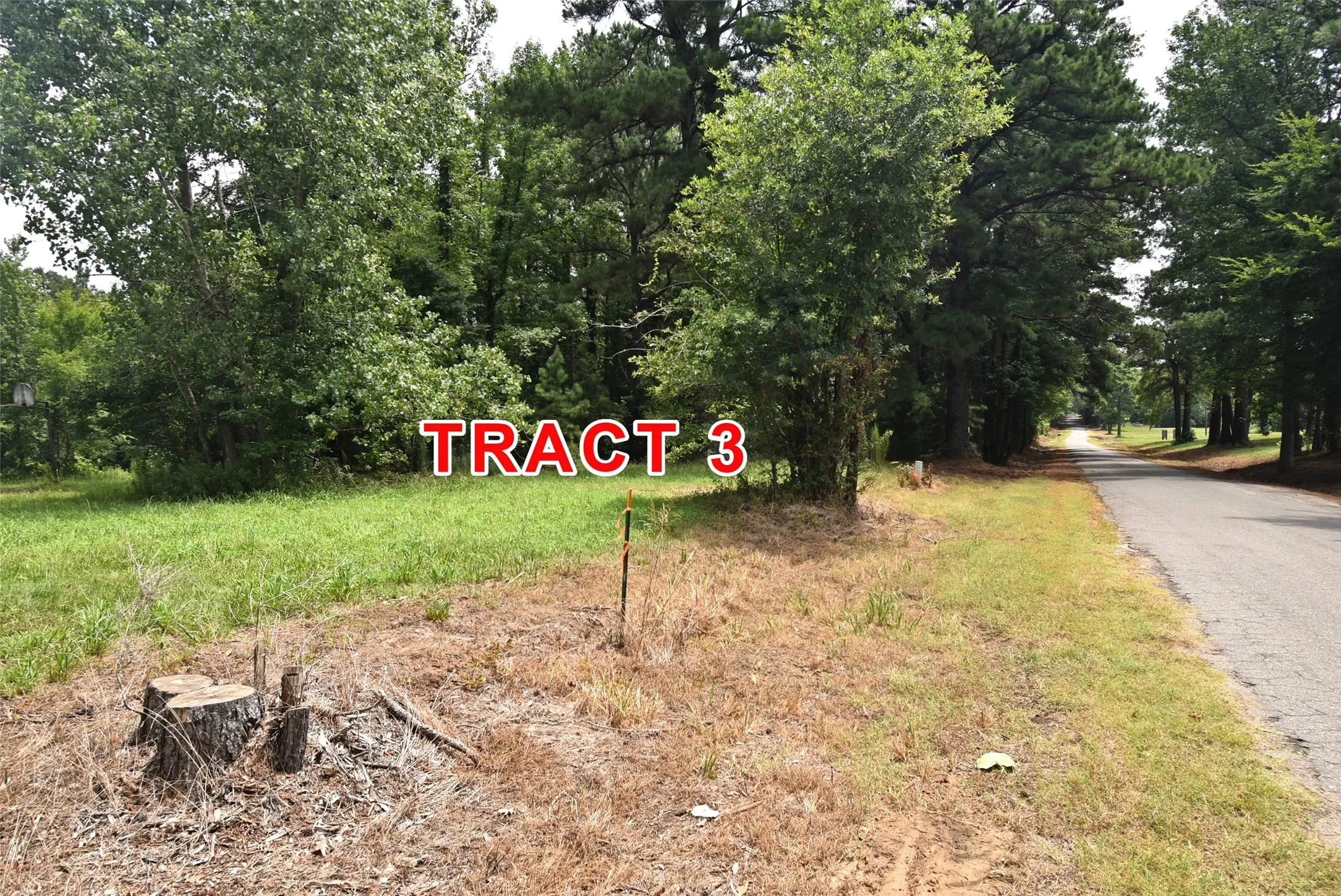 Unimproved Land For Sale in Red River (TX) County , Tract 3 County Road 3117, Clarksville, Texas 75426, 0, 0, Garage spaces, 0 Sqft, built in 0, mls#21331786, Real Estate Agent in Clarksville, Homes For Sale in Red River (TX) county, Homes For Sale in Clarksville, Realtor in Clarksville Texas, Real Estate Brokerage Independent Realty Texas, Luminita Cordes Realtor