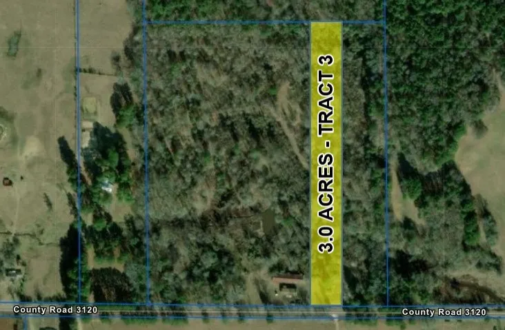 Unimproved Land For Sale in Red River (TX) County , Tract 3 County Road 3117, Clarksville, Texas 75426, 0, 0, Garage spaces, 0 Sqft, built in 0, mls#21331786, Real Estate Agent in Clarksville, Homes For Sale in Red River (TX) county, Homes For Sale in Clarksville, Realtor in Clarksville Texas, Real Estate Brokerage Independent Realty Texas, Luminita Cordes Realtor