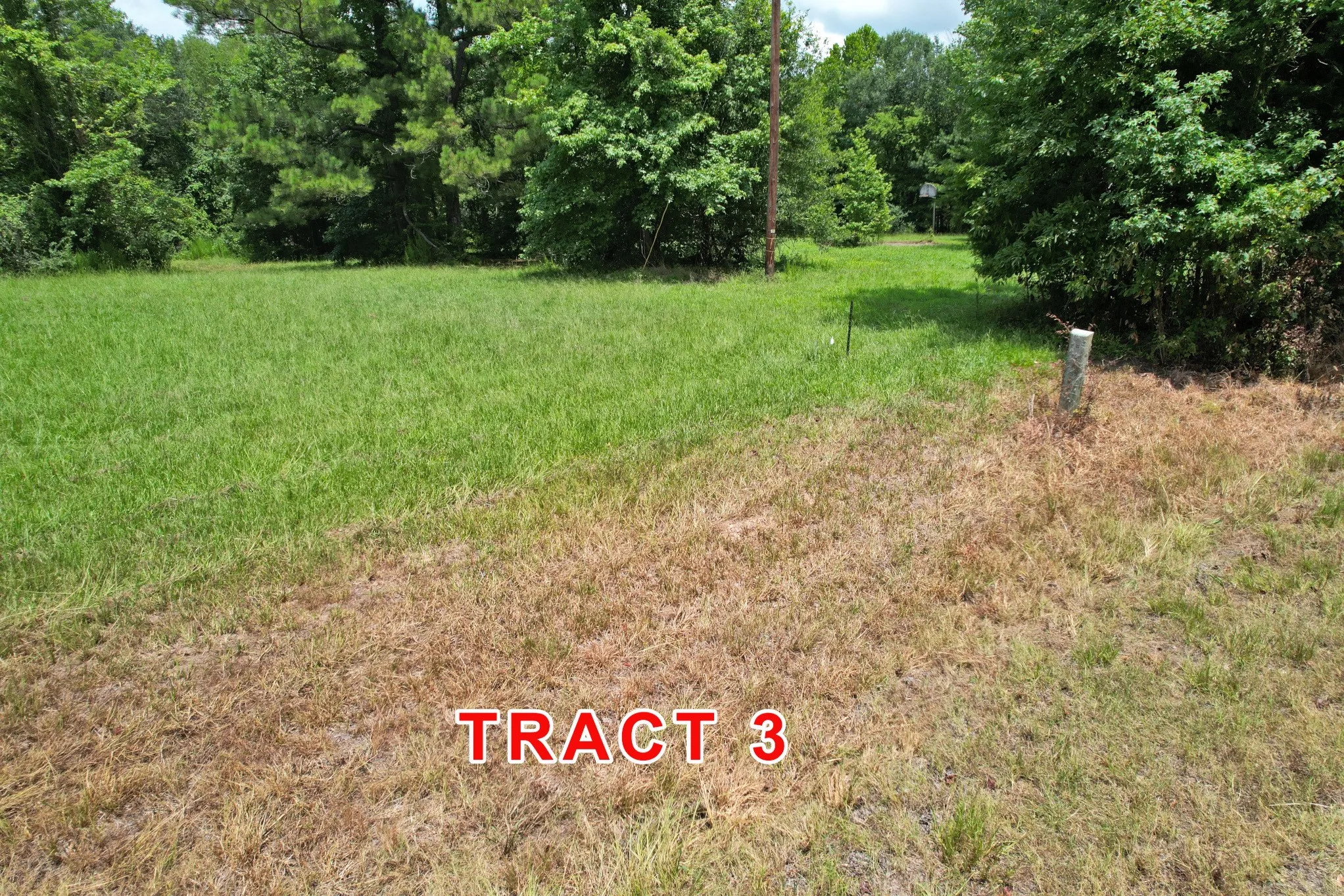Unimproved Land For Sale in Red River (TX) County , Tract 3 County Road 3117, Clarksville, Texas 75426, 0, 0, Garage spaces, 0 Sqft, built in 0, mls#21331786, Real Estate Agent in Clarksville, Homes For Sale in Red River (TX) county, Homes For Sale in Clarksville, Realtor in Clarksville Texas, Real Estate Brokerage Independent Realty Texas, Luminita Cordes Realtor