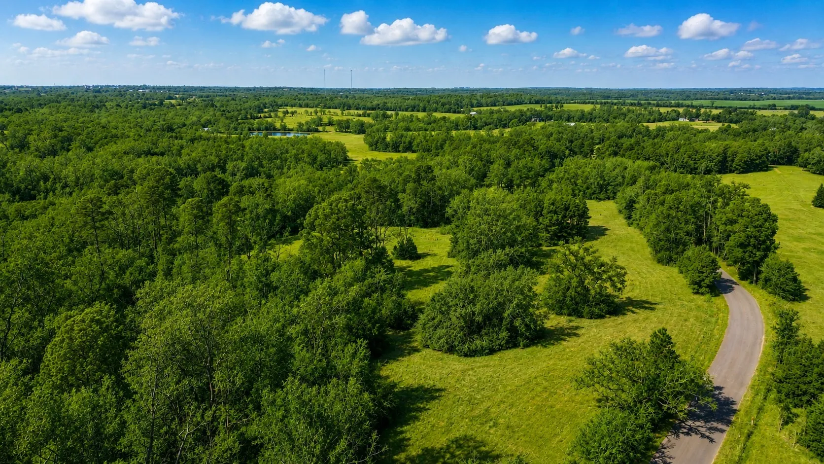 Unimproved Land For Sale in Wood County , 562 CR 4430, Winnsboro, Texas 75494, 0, 0, Garage spaces, 0 Sqft, built in 0, Price $896,000, mls#21330614, Real Estate Agent in Winnsboro, Homes For Sale in Wood county, Homes For Sale in Winnsboro, Realtor in Winnsboro Texas, Real Estate Brokerage Independent Realty Texas, Luminita Cordes Realtor