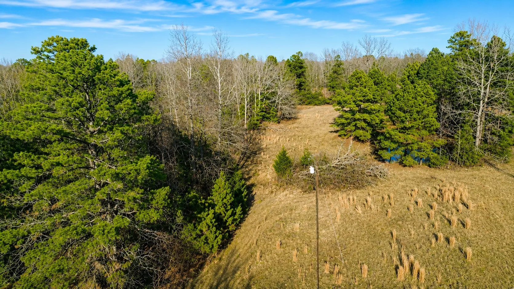 Unimproved Land For Sale in Wood County , 562 CR 4430, Winnsboro, Texas 75494, 0, 0, Garage spaces, 0 Sqft, built in 0, Price $896,000, mls#21330614, Real Estate Agent in Winnsboro, Homes For Sale in Wood county, Homes For Sale in Winnsboro, Realtor in Winnsboro Texas, Real Estate Brokerage Independent Realty Texas, Luminita Cordes Realtor