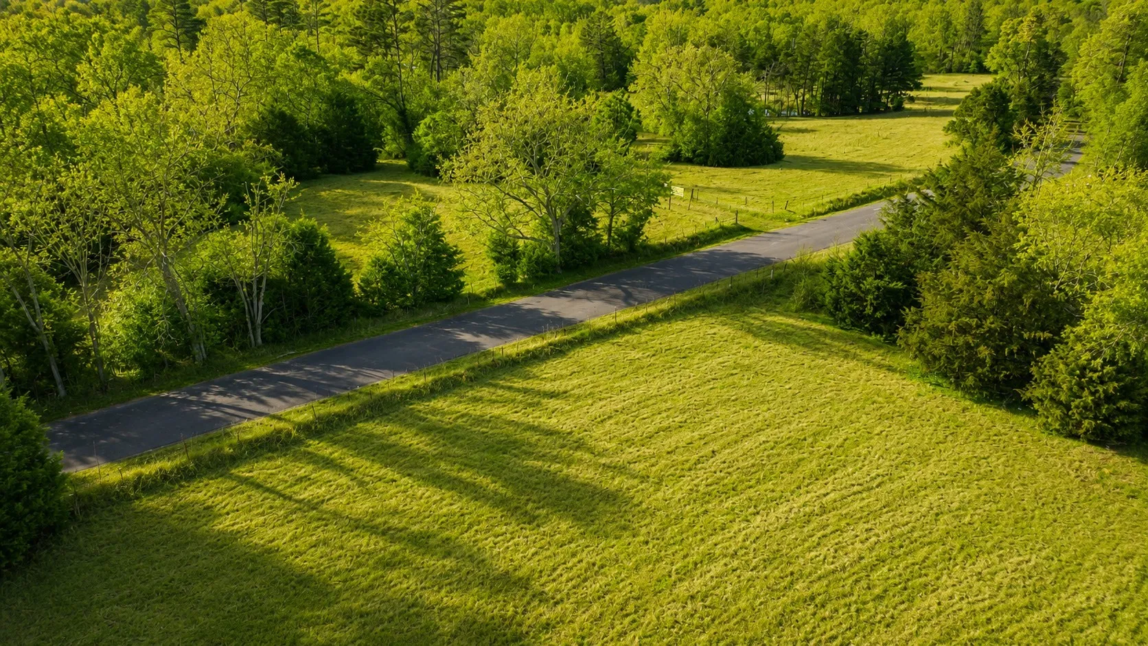 Unimproved Land For Sale in Wood County , 562 CR 4430, Winnsboro, Texas 75494, 0, 0, Garage spaces, 0 Sqft, built in 0, Price $896,000, mls#21330614, Real Estate Agent in Winnsboro, Homes For Sale in Wood county, Homes For Sale in Winnsboro, Realtor in Winnsboro Texas, Real Estate Brokerage Independent Realty Texas, Luminita Cordes Realtor