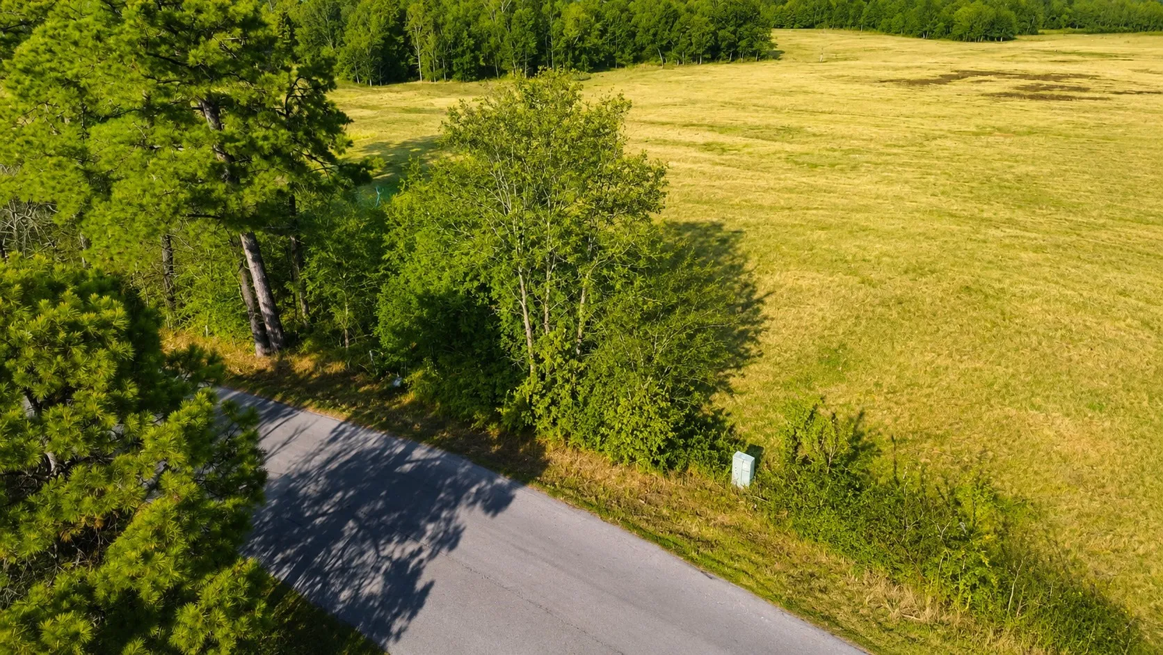 Unimproved Land For Sale in Wood County , 562 CR 4430, Winnsboro, Texas 75494, 0, 0, Garage spaces, 0 Sqft, built in 0, Price $896,000, mls#21330614, Real Estate Agent in Winnsboro, Homes For Sale in Wood county, Homes For Sale in Winnsboro, Realtor in Winnsboro Texas, Real Estate Brokerage Independent Realty Texas, Luminita Cordes Realtor