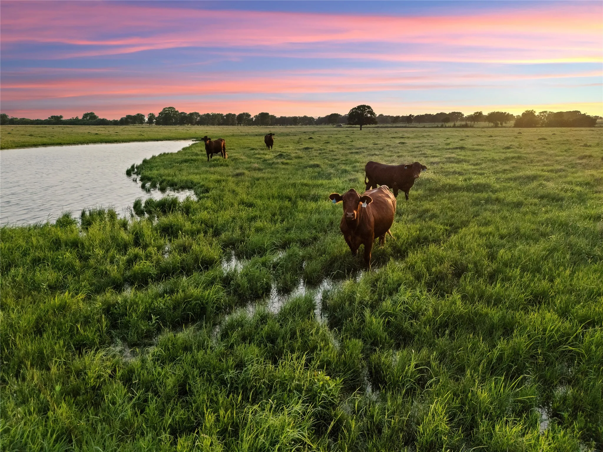 Improved Land For Sale in Mc Lennan County , 2442 Happy Swaner Lane, Axtell, Texas 76624, 0, 0, Garage spaces, 0 Sqft, built in 0, Price $399,900, mls#21312080, Real Estate Agent in Axtell, Homes For Sale in Mc Lennan county, Homes For Sale in Axtell, Realtor in Axtell Texas, Real Estate Brokerage Independent Realty Texas, Luminita Cordes Realtor