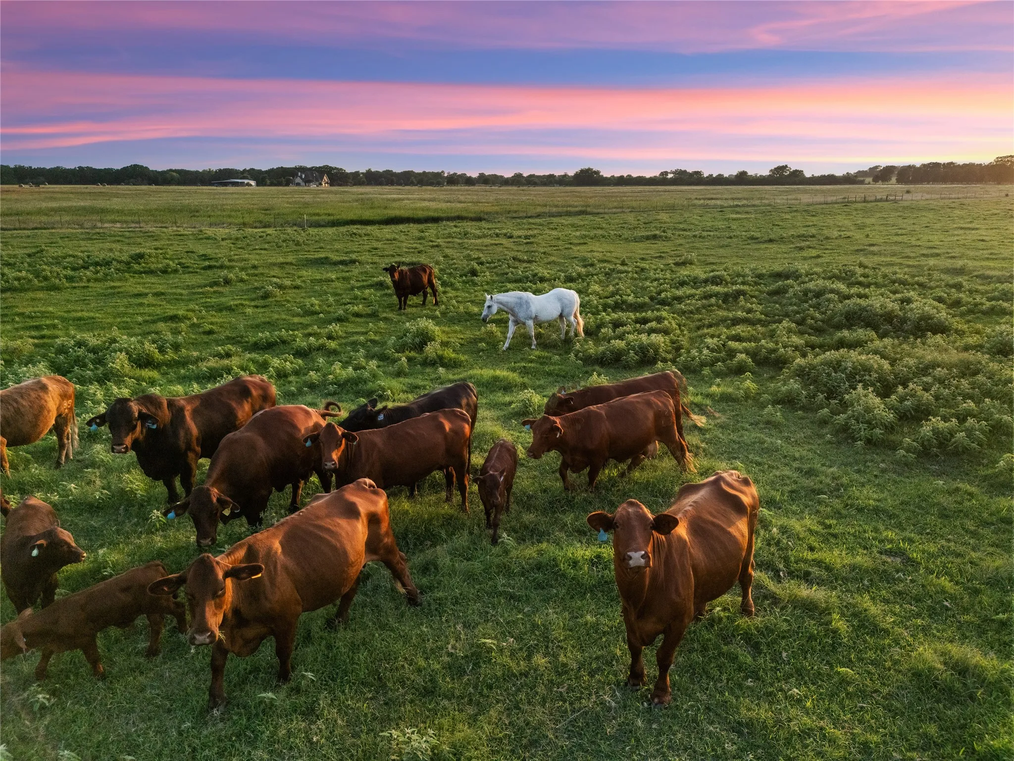 Improved Land For Sale in Mc Lennan County , 2442 Happy Swaner Lane, Axtell, Texas 76624, 0, 0, Garage spaces, 0 Sqft, built in 0, Price $399,900, mls#21312080, Real Estate Agent in Axtell, Homes For Sale in Mc Lennan county, Homes For Sale in Axtell, Realtor in Axtell Texas, Real Estate Brokerage Independent Realty Texas, Luminita Cordes Realtor