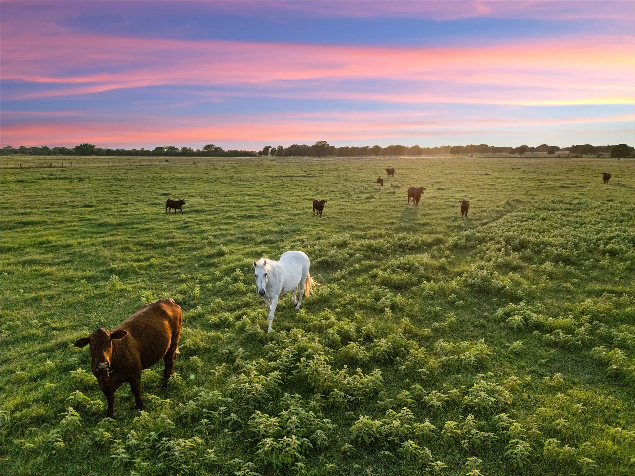 Improved Land For Sale in Mc Lennan County , 2442 Happy Swaner Lane, Axtell, Texas 76624, 0, 0, Garage spaces, 0 Sqft, built in 0, Price $399,900, mls#21312080, Real Estate Agent in Axtell, Homes For Sale in Mc Lennan county, Homes For Sale in Axtell, Realtor in Axtell Texas, Real Estate Brokerage Independent Realty Texas, Luminita Cordes Realtor