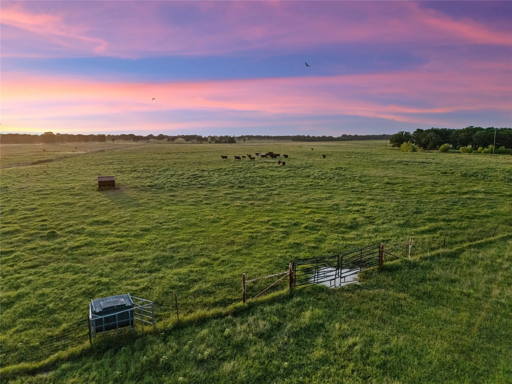 Improved Land For Sale in Mc Lennan County , 2442 Happy Swaner Lane, Axtell, Texas 76624, 0, 0, Garage spaces, 0 Sqft, built in 0, Price $399,900, mls#21312080, Real Estate Agent in Axtell, Homes For Sale in Mc Lennan county, Homes For Sale in Axtell, Realtor in Axtell Texas, Real Estate Brokerage Independent Realty Texas, Luminita Cordes Realtor