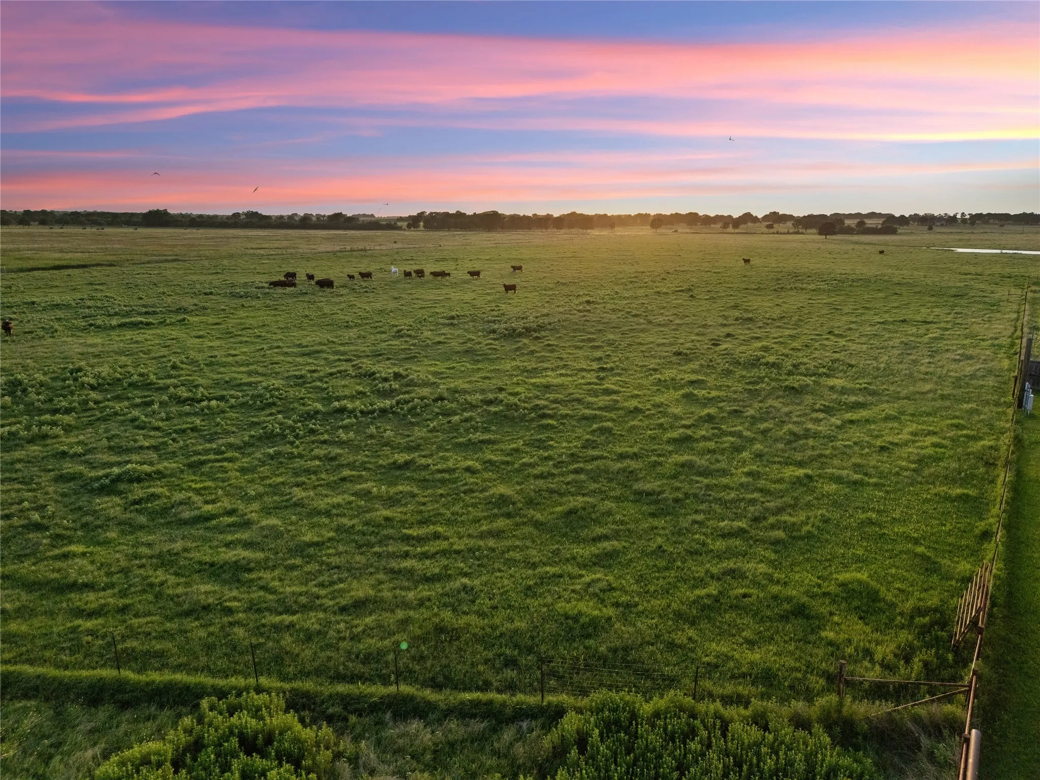 Improved Land For Sale in Mc Lennan County , 2442 Happy Swaner Lane, Axtell, Texas 76624, 0, 0, Garage spaces, 0 Sqft, built in 0, Price $399,900, mls#21312080, Real Estate Agent in Axtell, Homes For Sale in Mc Lennan county, Homes For Sale in Axtell, Realtor in Axtell Texas, Real Estate Brokerage Independent Realty Texas, Luminita Cordes Realtor