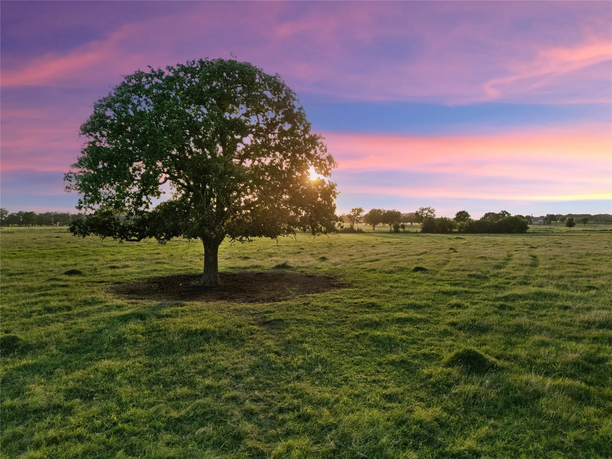 Improved Land For Sale in Mc Lennan County , 2442 Happy Swaner Lane, Axtell, Texas 76624, 0, 0, Garage spaces, 0 Sqft, built in 0, Price $399,900, mls#21312080, Real Estate Agent in Axtell, Homes For Sale in Mc Lennan county, Homes For Sale in Axtell, Realtor in Axtell Texas, Real Estate Brokerage Independent Realty Texas, Luminita Cordes Realtor