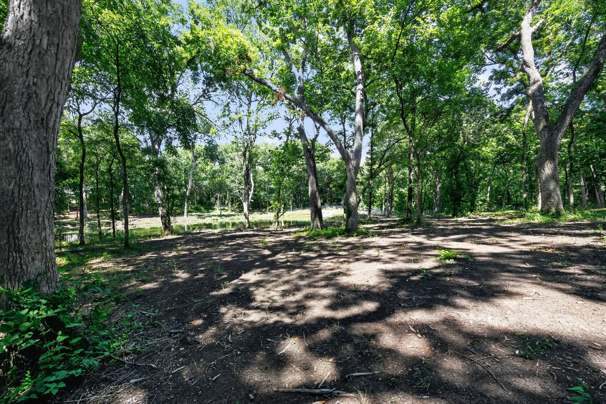 Unimproved Land For Sale in Grayson County , 0 Willy Vester Off Of Road, Van Alstyne, Texas 75495, 0, 0, Garage spaces, 0 Sqft, built in 0, Price $569,000, mls#21329018, Real Estate Agent in Van Alstyne, Homes For Sale in Grayson county, Homes For Sale in Van Alstyne, Realtor in Van Alstyne Texas, Real Estate Brokerage Independent Realty Texas, Luminita Cordes Realtor