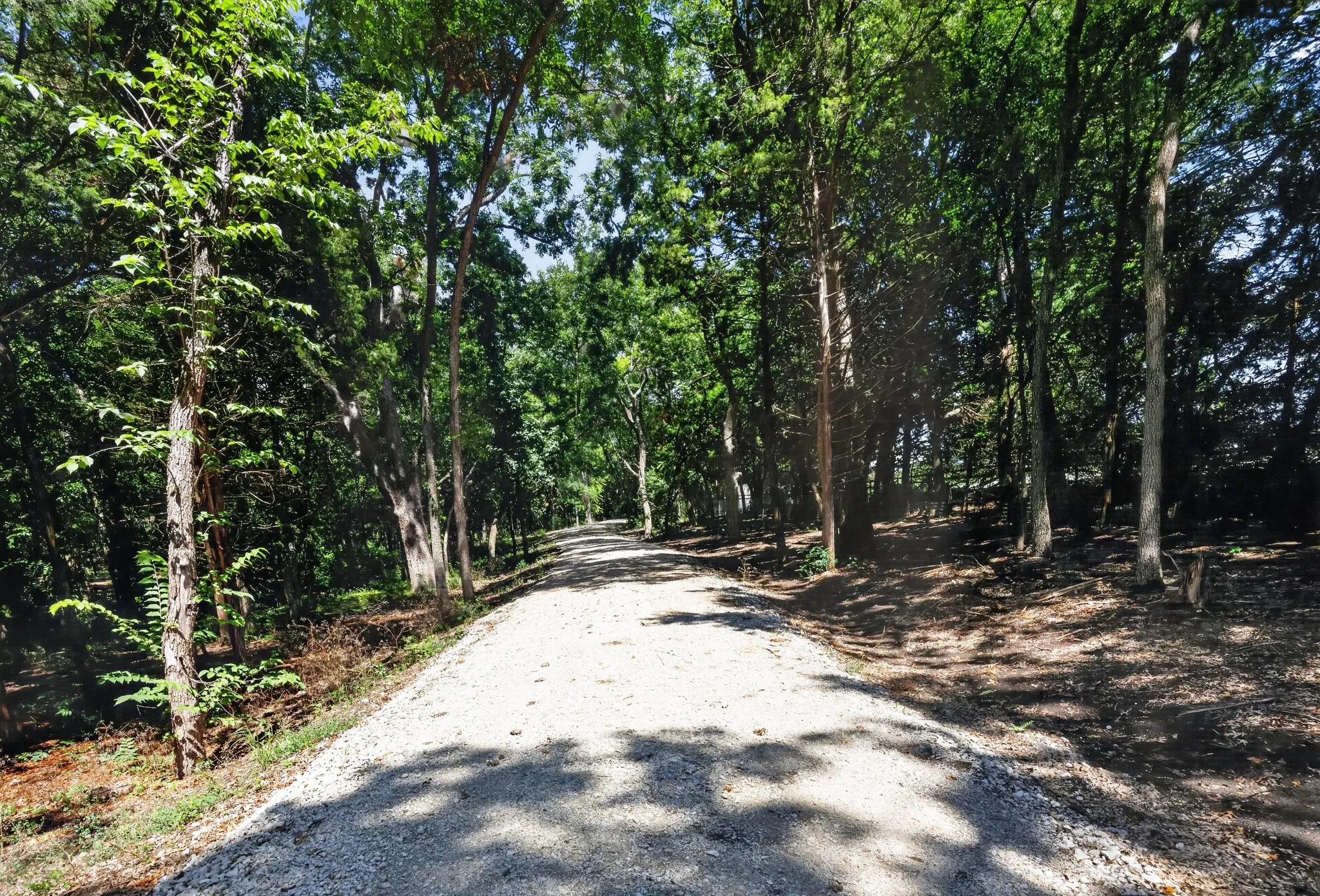 Unimproved Land For Sale in Grayson County , 0 Willy Vester Off Of Road, Van Alstyne, Texas 75495, 0, 0, Garage spaces, 0 Sqft, built in 0, Price $569,000, mls#21329018, Real Estate Agent in Van Alstyne, Homes For Sale in Grayson county, Homes For Sale in Van Alstyne, Realtor in Van Alstyne Texas, Real Estate Brokerage Independent Realty Texas, Luminita Cordes Realtor