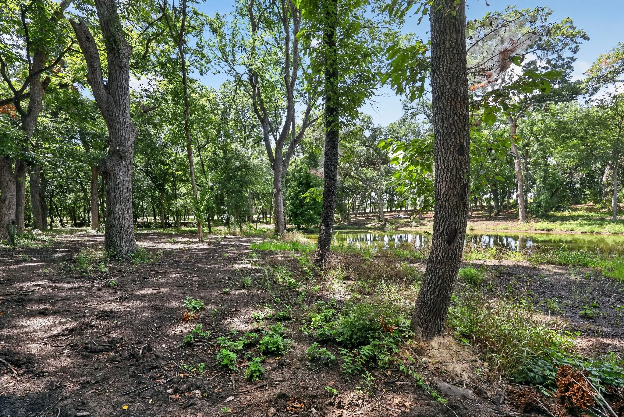 Unimproved Land For Sale in Grayson County , 0 Willy Vester Off Of Road, Van Alstyne, Texas 75495, 0, 0, Garage spaces, 0 Sqft, built in 0, Price $569,000, mls#21329018, Real Estate Agent in Van Alstyne, Homes For Sale in Grayson county, Homes For Sale in Van Alstyne, Realtor in Van Alstyne Texas, Real Estate Brokerage Independent Realty Texas, Luminita Cordes Realtor