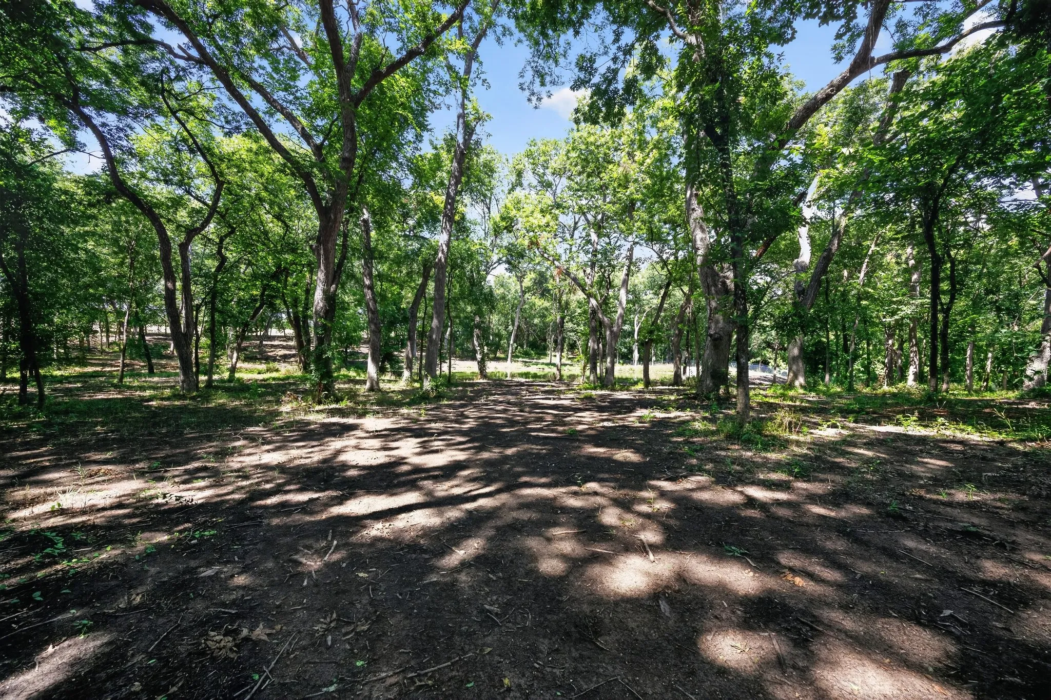 Unimproved Land For Sale in Grayson County , 0 Willy Vester Off Of Road, Van Alstyne, Texas 75495, 0, 0, Garage spaces, 0 Sqft, built in 0, Price $569,000, mls#21329018, Real Estate Agent in Van Alstyne, Homes For Sale in Grayson county, Homes For Sale in Van Alstyne, Realtor in Van Alstyne Texas, Real Estate Brokerage Independent Realty Texas, Luminita Cordes Realtor
