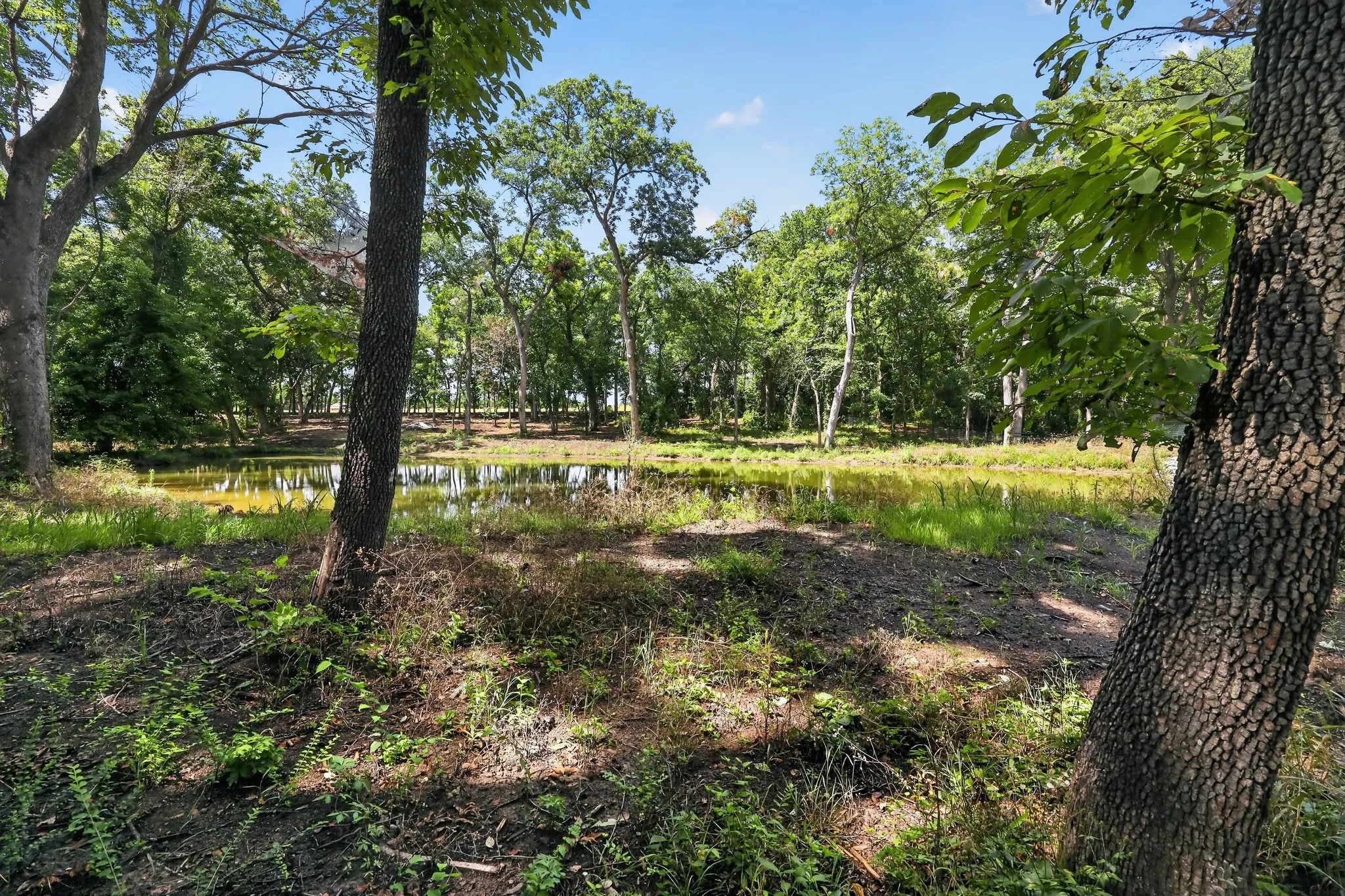 Unimproved Land For Sale in Grayson County , 0 Willy Vester Off Of Road, Van Alstyne, Texas 75495, 0, 0, Garage spaces, 0 Sqft, built in 0, Price $569,000, mls#21329018, Real Estate Agent in Van Alstyne, Homes For Sale in Grayson county, Homes For Sale in Van Alstyne, Realtor in Van Alstyne Texas, Real Estate Brokerage Independent Realty Texas, Luminita Cordes Realtor
