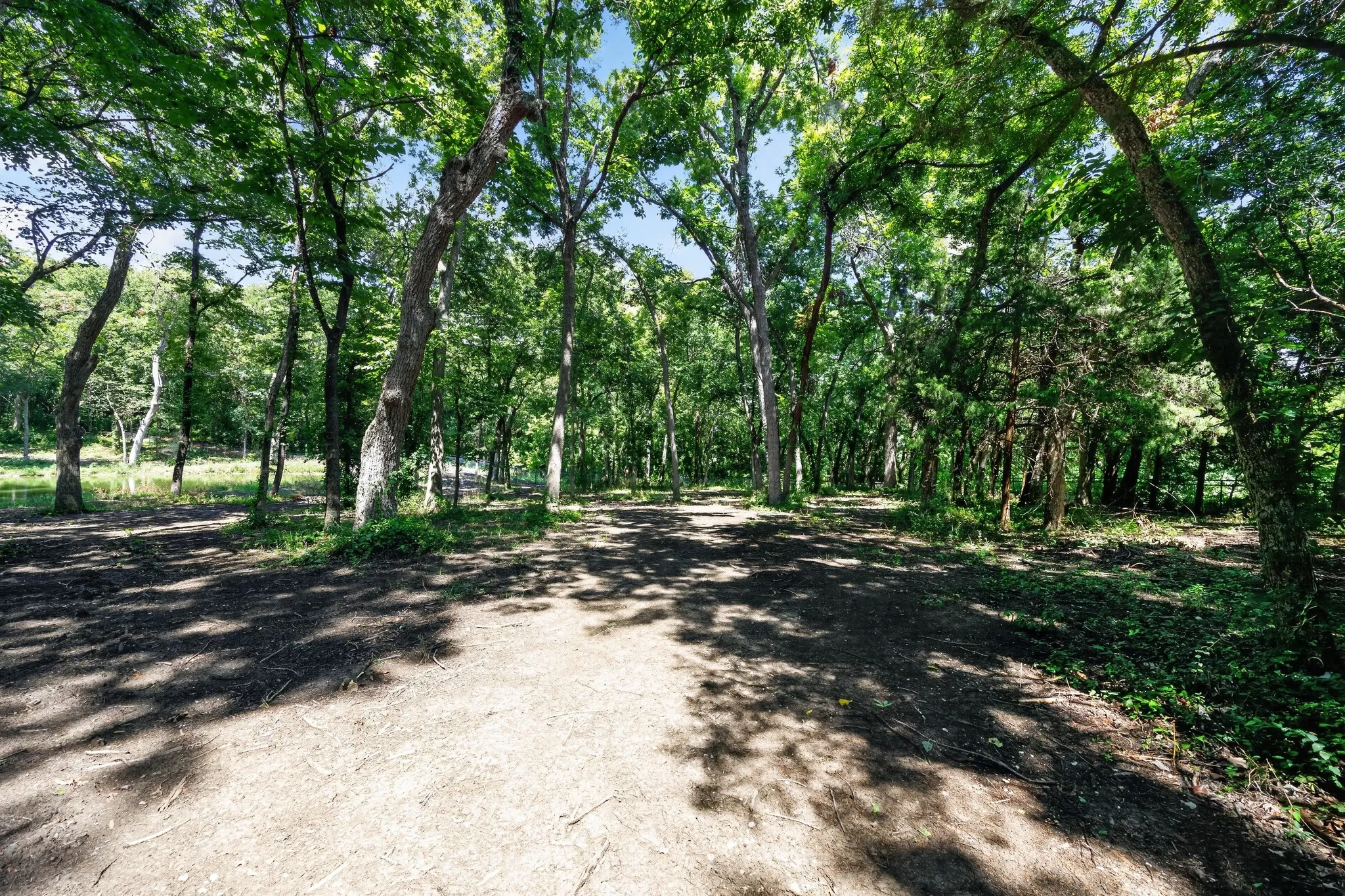 Unimproved Land For Sale in Grayson County , 0 Willy Vester Off Of Road, Van Alstyne, Texas 75495, 0, 0, Garage spaces, 0 Sqft, built in 0, Price $569,000, mls#21329018, Real Estate Agent in Van Alstyne, Homes For Sale in Grayson county, Homes For Sale in Van Alstyne, Realtor in Van Alstyne Texas, Real Estate Brokerage Independent Realty Texas, Luminita Cordes Realtor