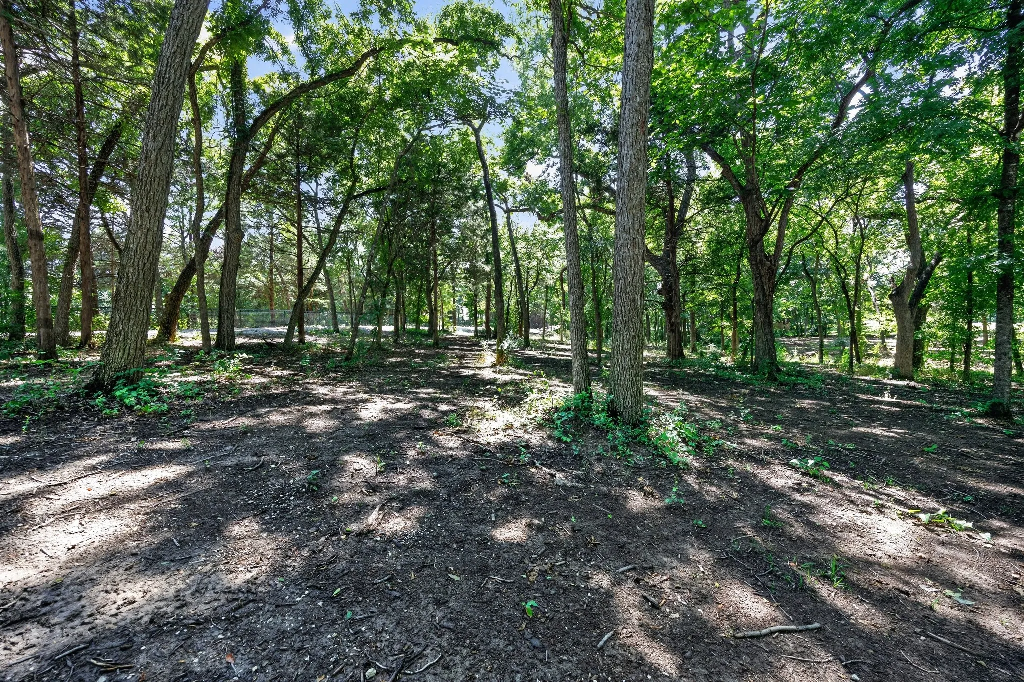 Unimproved Land For Sale in Grayson County , 0 Willy Vester Off Of Road, Van Alstyne, Texas 75495, 0, 0, Garage spaces, 0 Sqft, built in 0, Price $569,000, mls#21329018, Real Estate Agent in Van Alstyne, Homes For Sale in Grayson county, Homes For Sale in Van Alstyne, Realtor in Van Alstyne Texas, Real Estate Brokerage Independent Realty Texas, Luminita Cordes Realtor