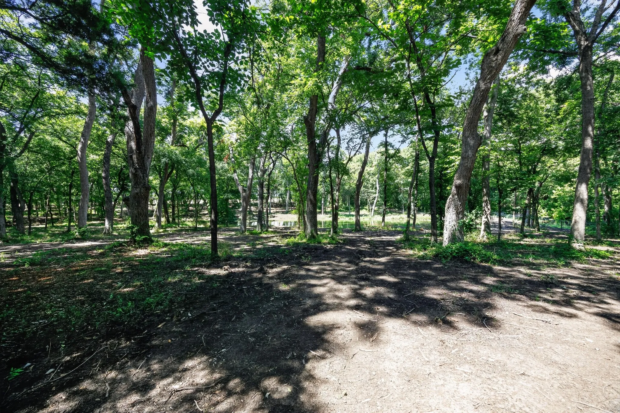 Unimproved Land For Sale in Grayson County , 0 Willy Vester Off Of Road, Van Alstyne, Texas 75495, 0, 0, Garage spaces, 0 Sqft, built in 0, Price $569,000, mls#21329018, Real Estate Agent in Van Alstyne, Homes For Sale in Grayson county, Homes For Sale in Van Alstyne, Realtor in Van Alstyne Texas, Real Estate Brokerage Independent Realty Texas, Luminita Cordes Realtor