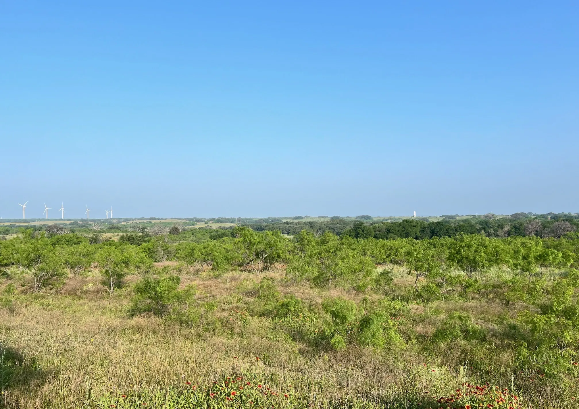 Unimproved Land For Sale in Comanche County , TBD S Hwy 16, Comanche, Texas 76442, 0, 0, Garage spaces, 0 Sqft, built in 0, mls#21331812, Real Estate Agent in Comanche, Homes For Sale in Comanche county, Homes For Sale in Comanche, Realtor in Comanche Texas, Real Estate Brokerage Independent Realty Texas, Luminita Cordes Realtor