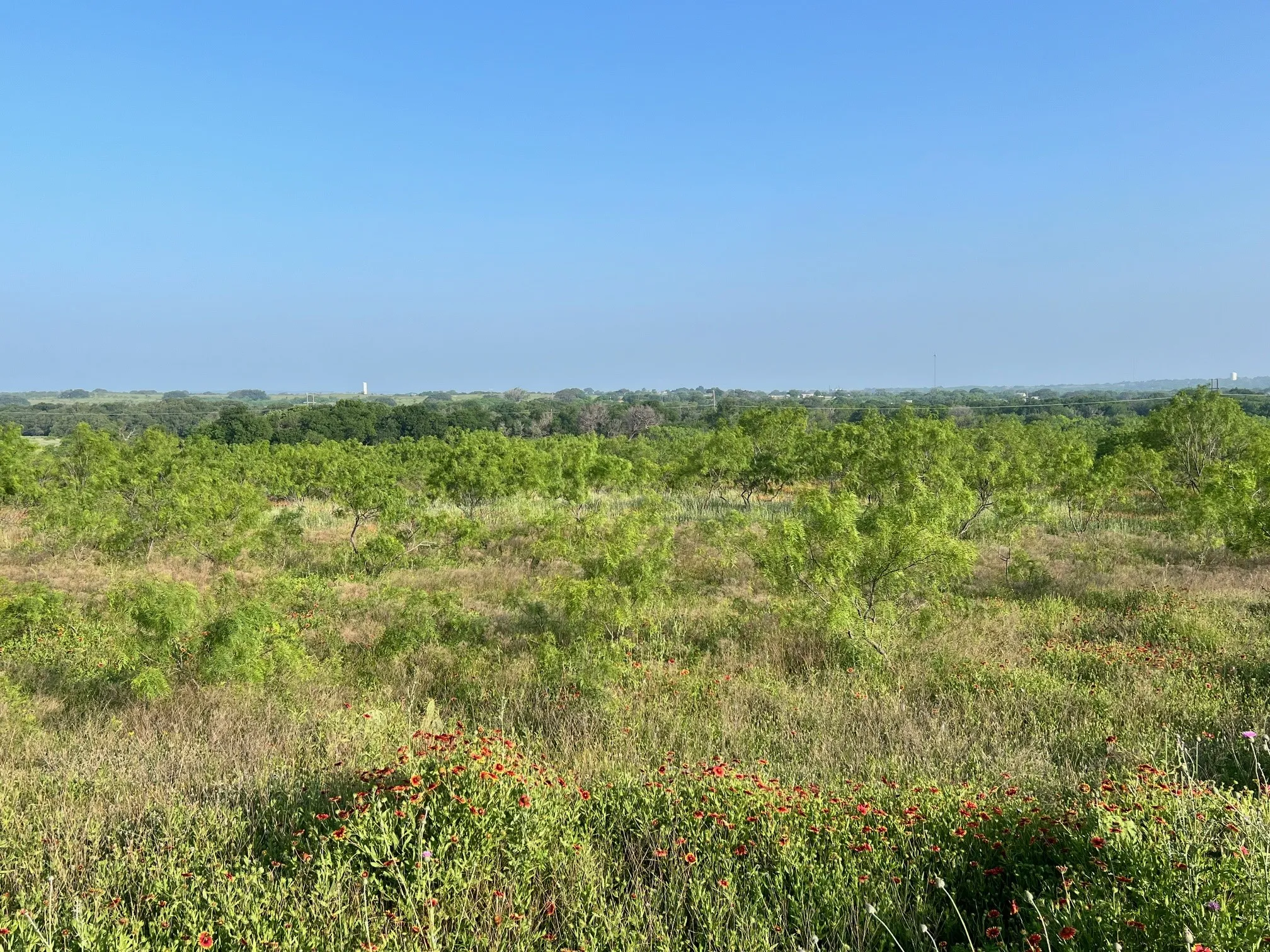 Unimproved Land For Sale in Comanche County , TBD S Hwy 16, Comanche, Texas 76442, 0, 0, Garage spaces, 0 Sqft, built in 0, mls#21331812, Real Estate Agent in Comanche, Homes For Sale in Comanche county, Homes For Sale in Comanche, Realtor in Comanche Texas, Real Estate Brokerage Independent Realty Texas, Luminita Cordes Realtor