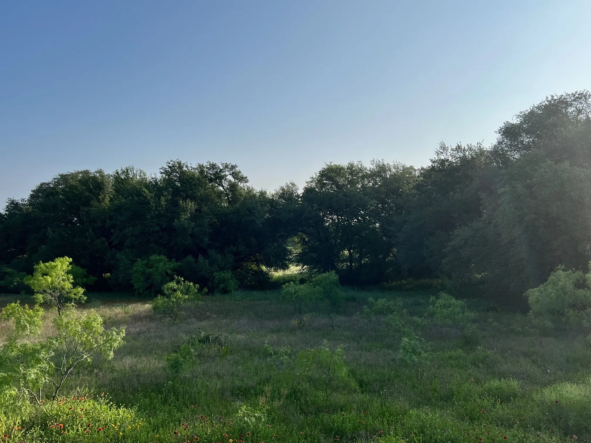 Unimproved Land For Sale in Comanche County , TBD S Hwy 16, Comanche, Texas 76442, 0, 0, Garage spaces, 0 Sqft, built in 0, mls#21331812, Real Estate Agent in Comanche, Homes For Sale in Comanche county, Homes For Sale in Comanche, Realtor in Comanche Texas, Real Estate Brokerage Independent Realty Texas, Luminita Cordes Realtor