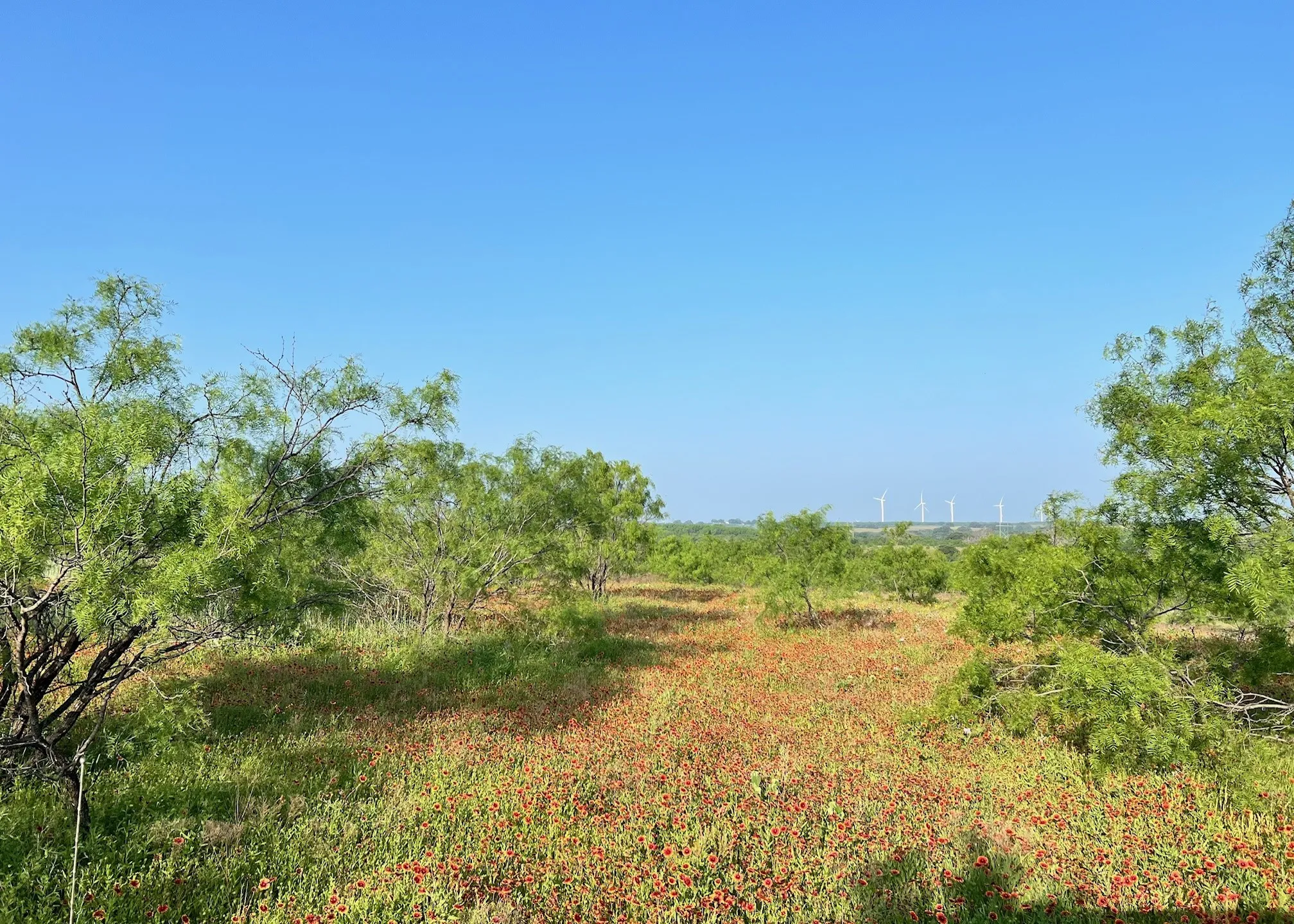 Unimproved Land For Sale in Comanche County , TBD S Hwy 16, Comanche, Texas 76442, 0, 0, Garage spaces, 0 Sqft, built in 0, mls#21331812, Real Estate Agent in Comanche, Homes For Sale in Comanche county, Homes For Sale in Comanche, Realtor in Comanche Texas, Real Estate Brokerage Independent Realty Texas, Luminita Cordes Realtor