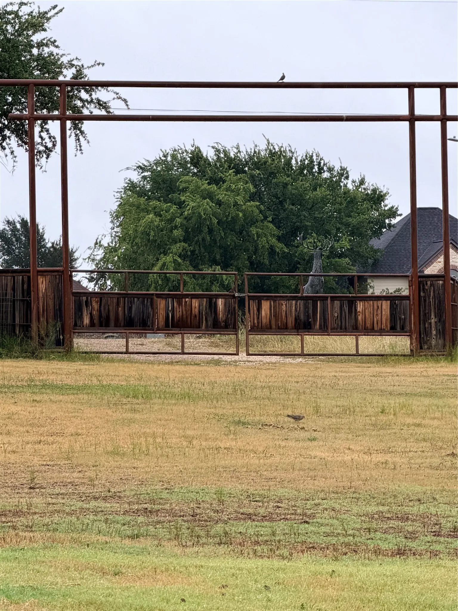 Double gated entrance for trailers