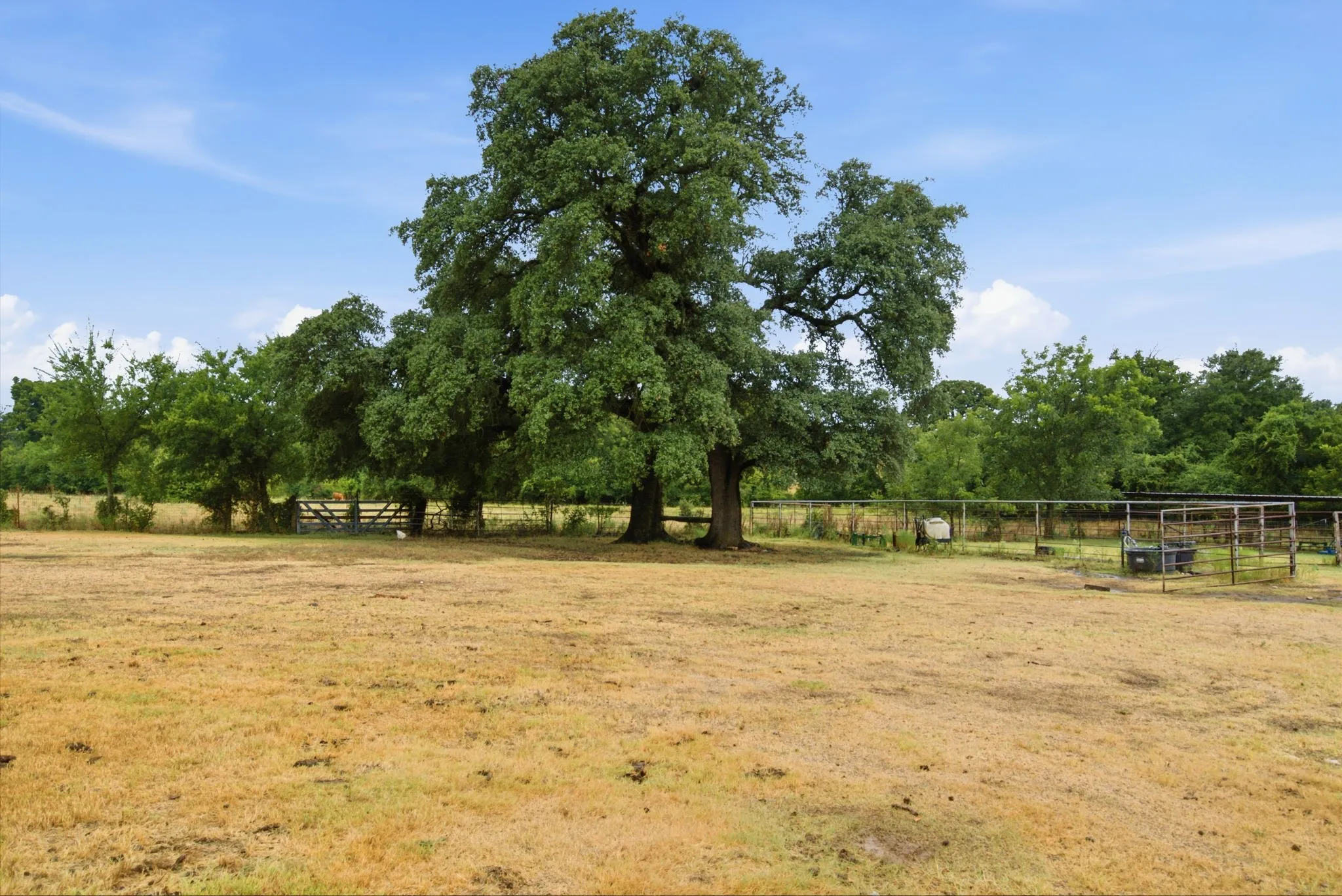 Single Family Residence For Sale in Erath County , 1670 Alexander Road, Stephenville, Texas 76401, 3 Bedroom, 2 Bathroom, Garage spaces, 2,190 Sqft, built in 1960, mls#21331441, Real Estate Agent in Stephenville, Homes For Sale in Erath county, Homes For Sale in Stephenville, Realtor in Stephenville Texas, Real Estate Brokerage Independent Realty Texas, Luminita Cordes Realtor